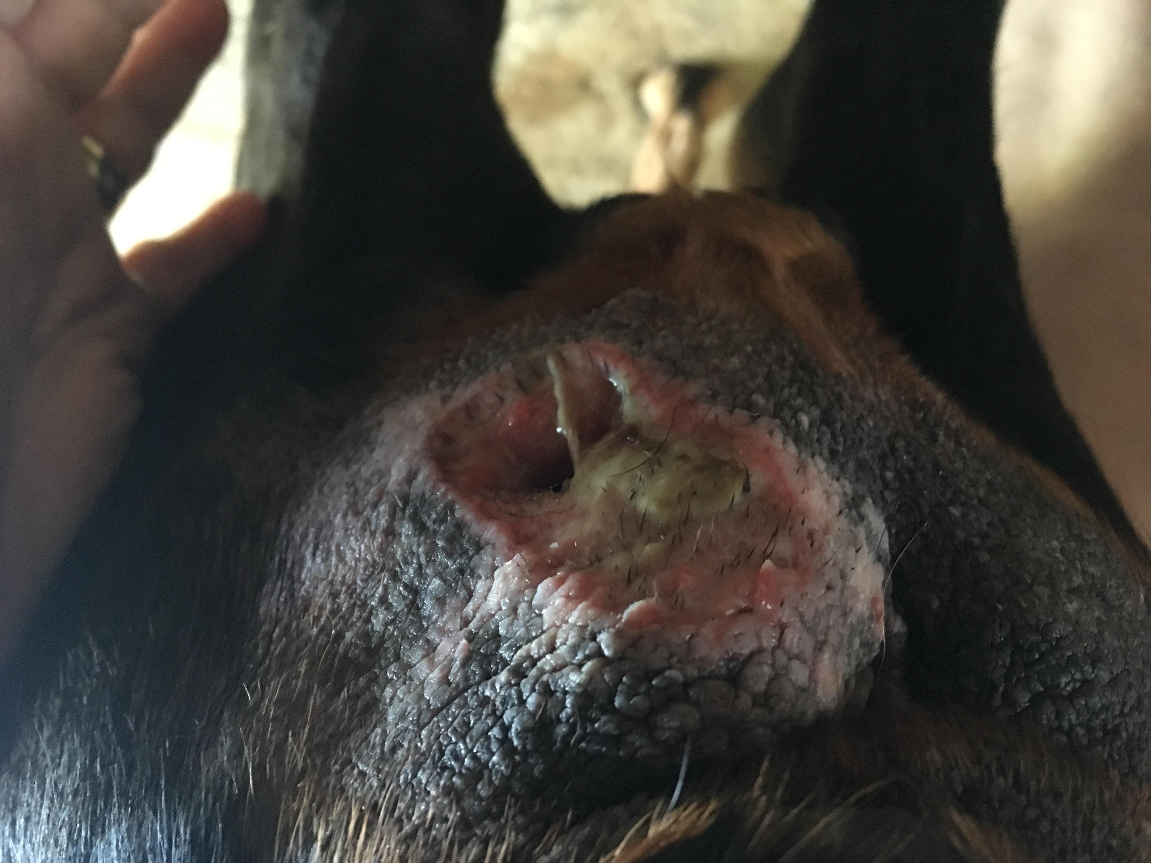 Question details sensitive content