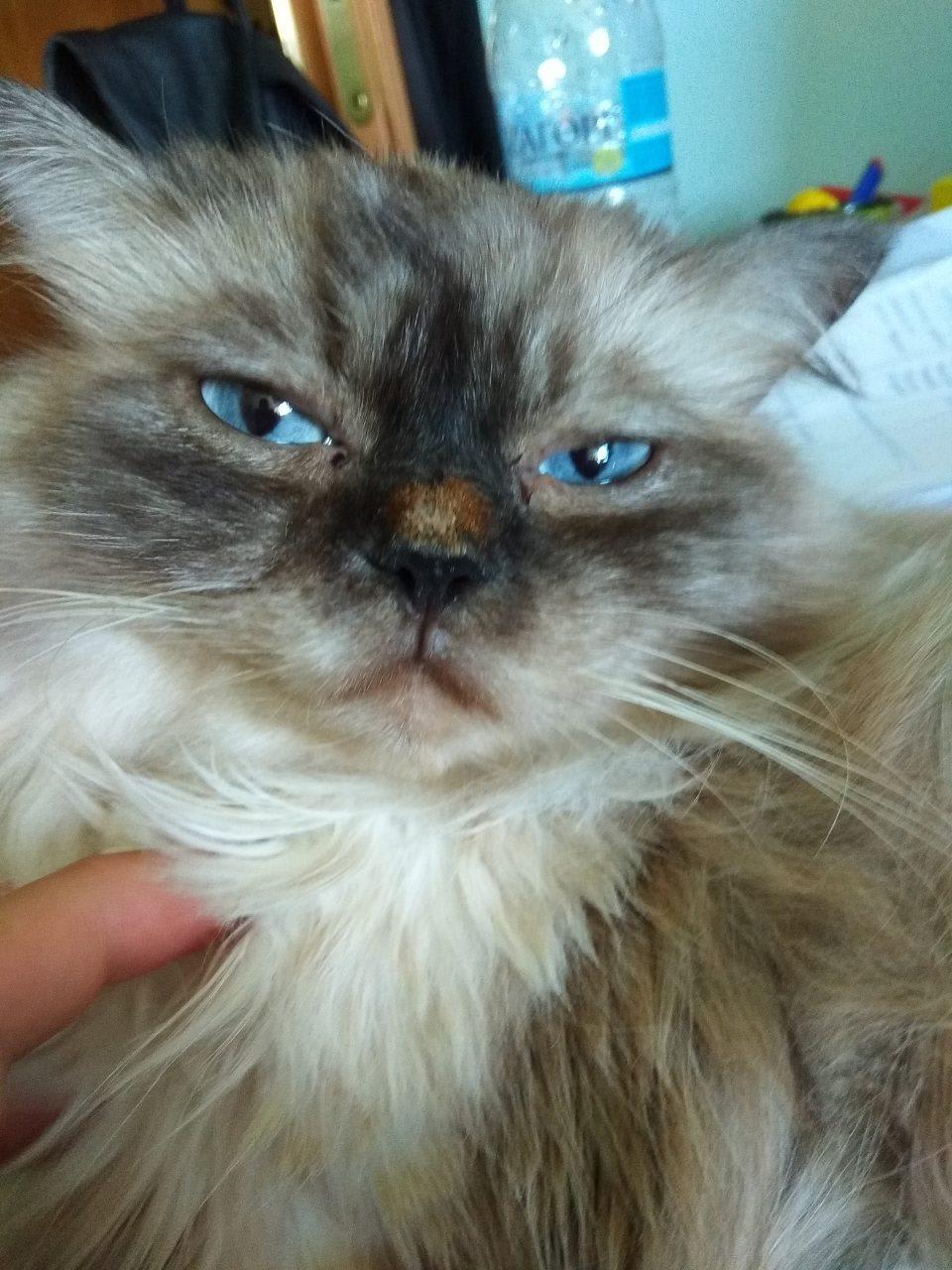 Question details sensitive content