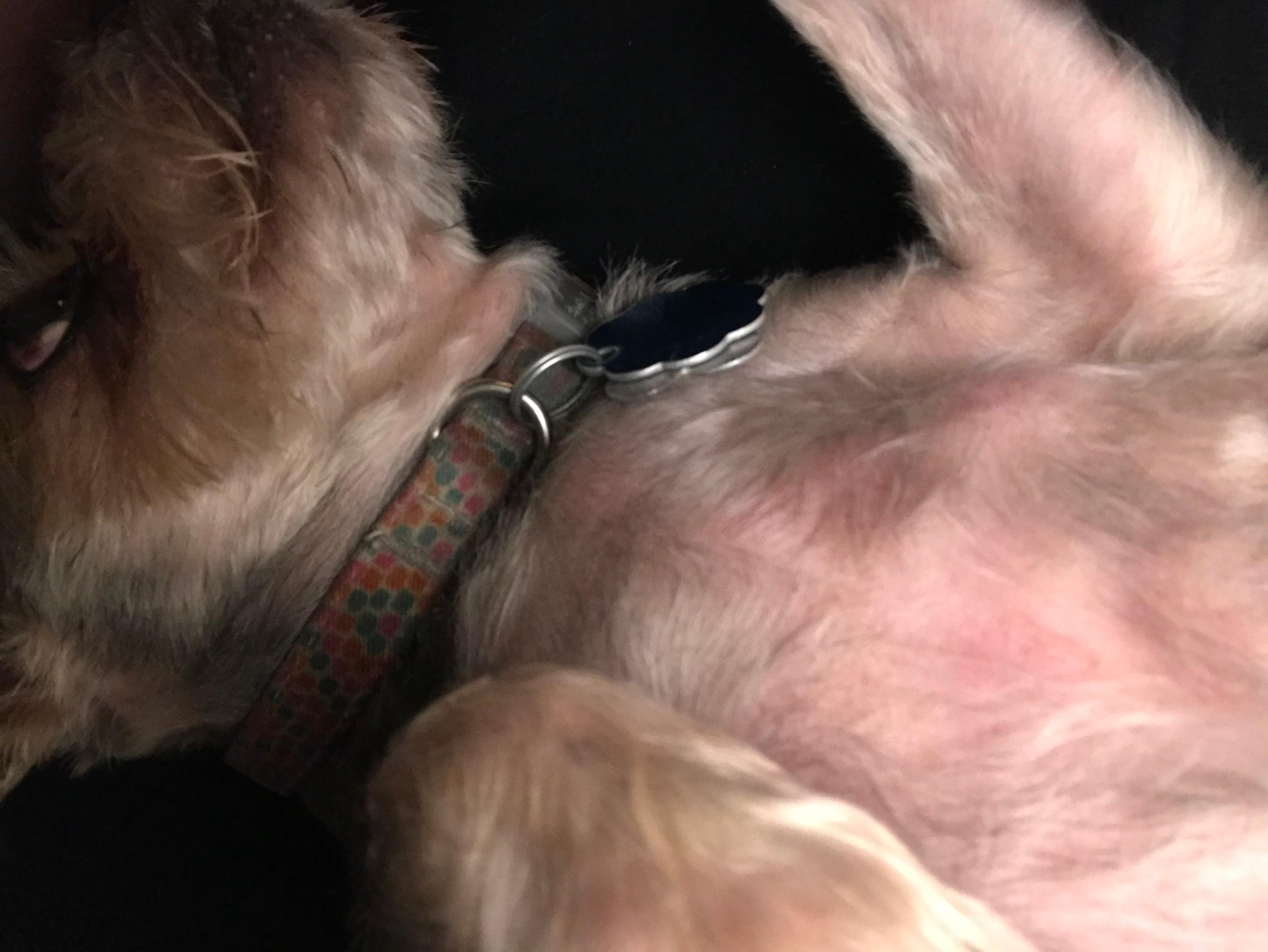 Question details sensitive content