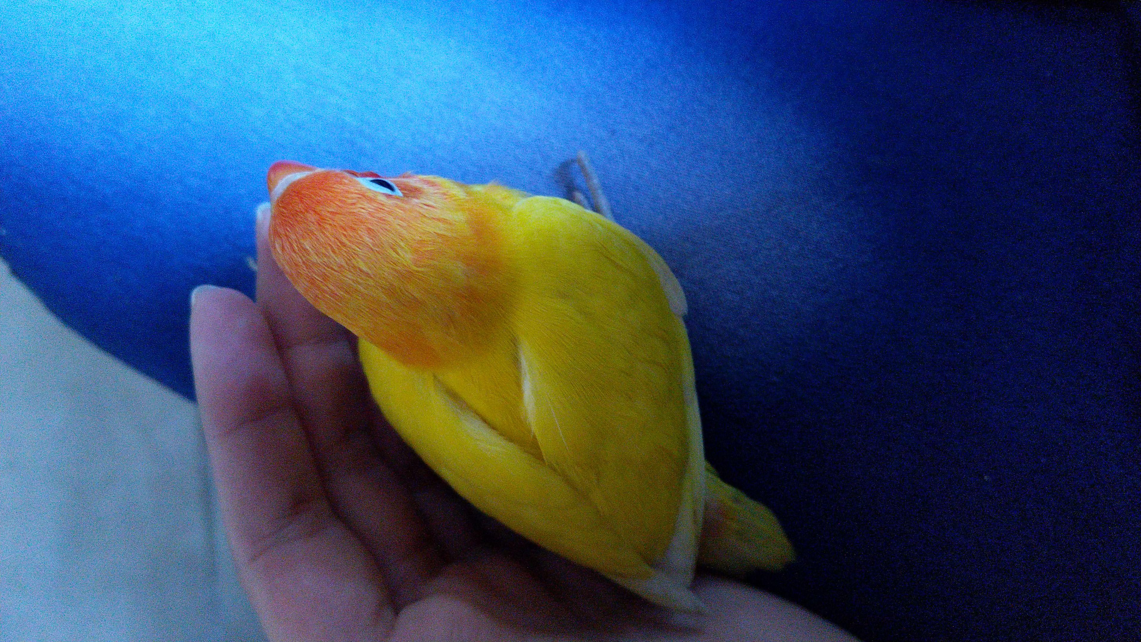 Question details sensitive content