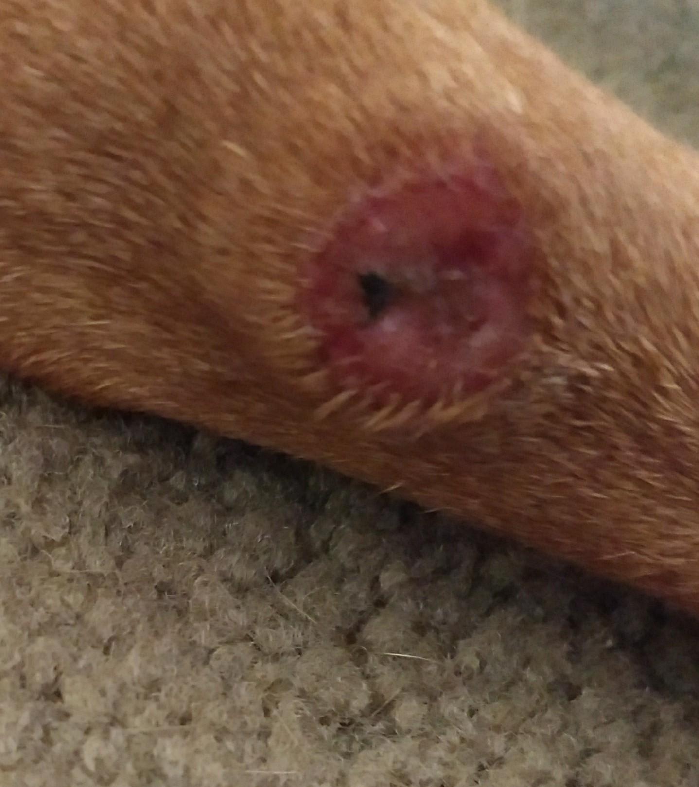 Question details sensitive content