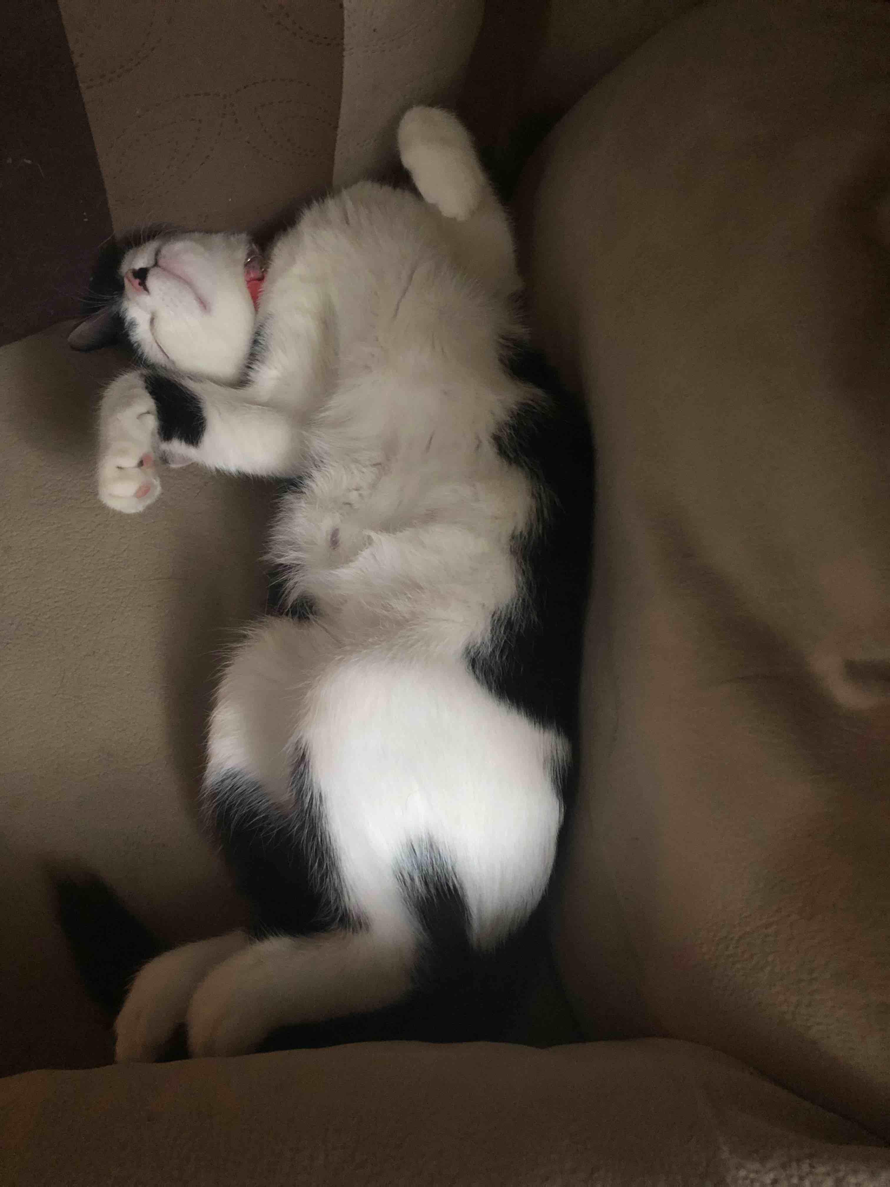 Question details sensitive content