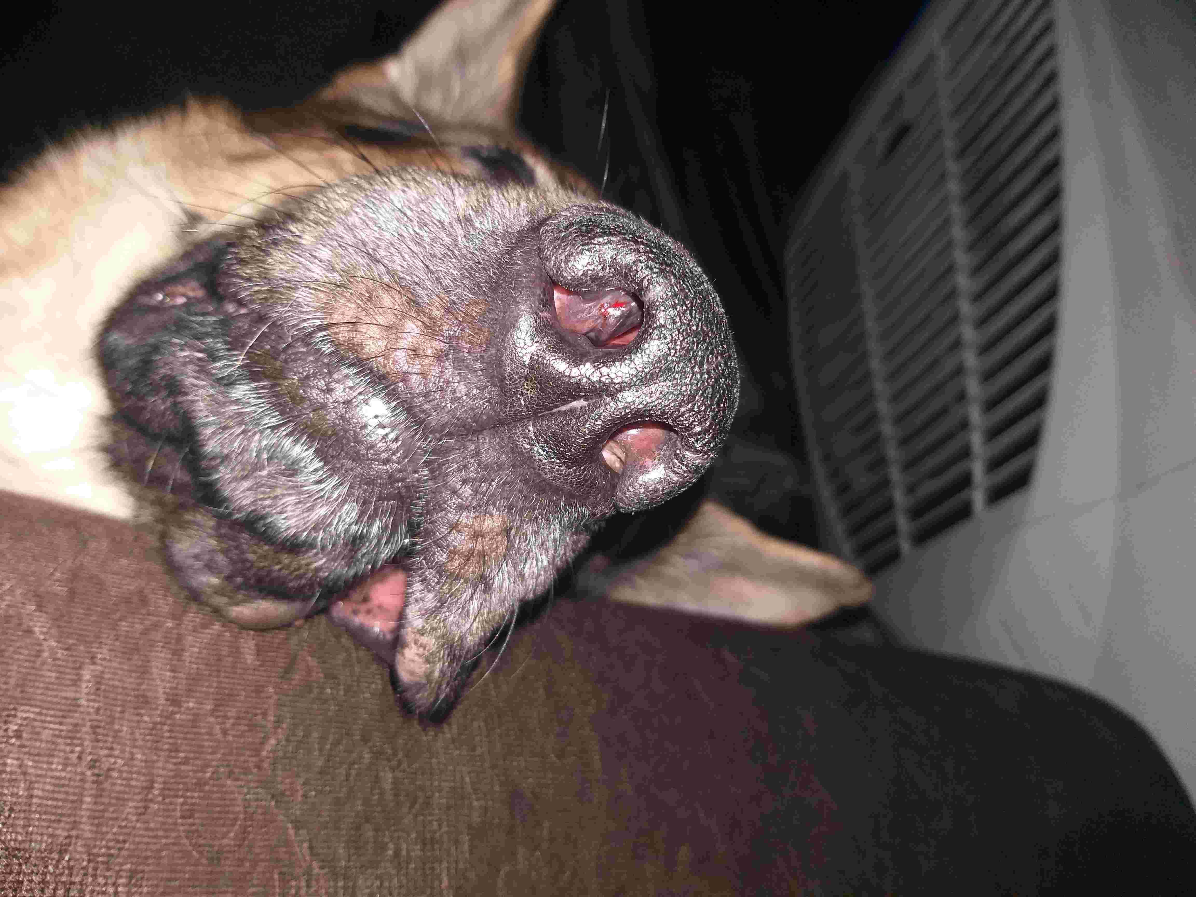 Question details sensitive content