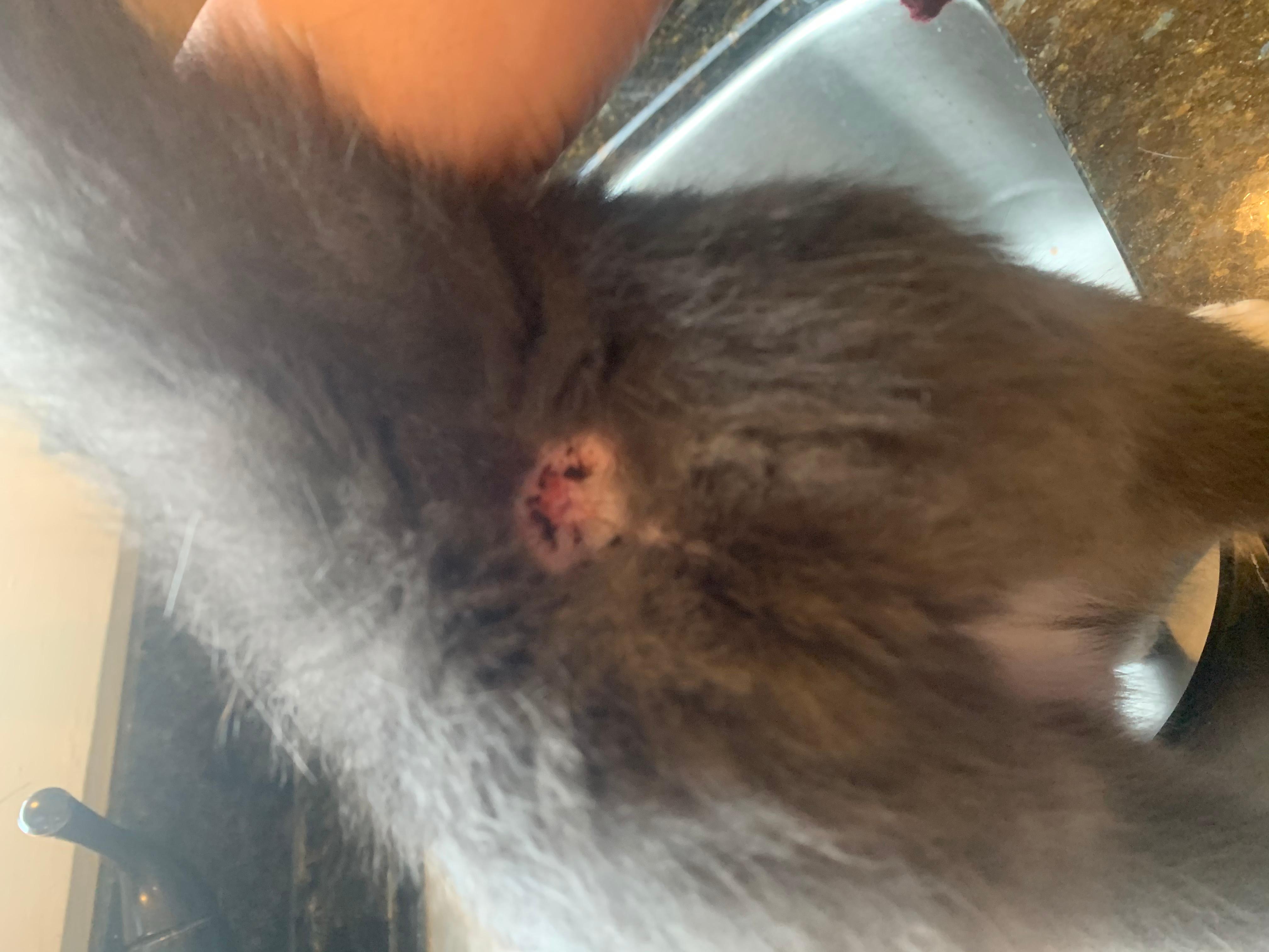 Question details sensitive content