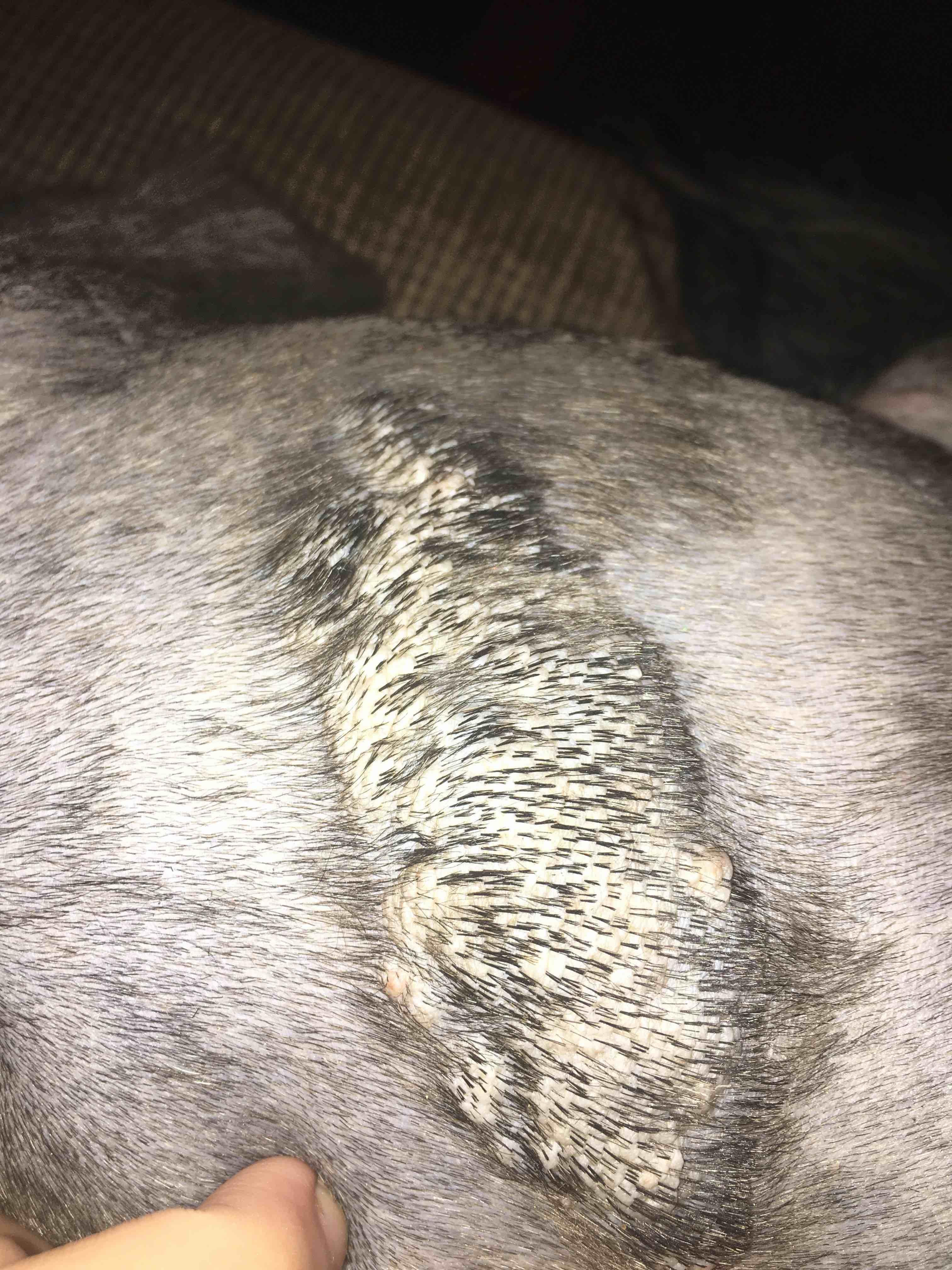 Question details sensitive content