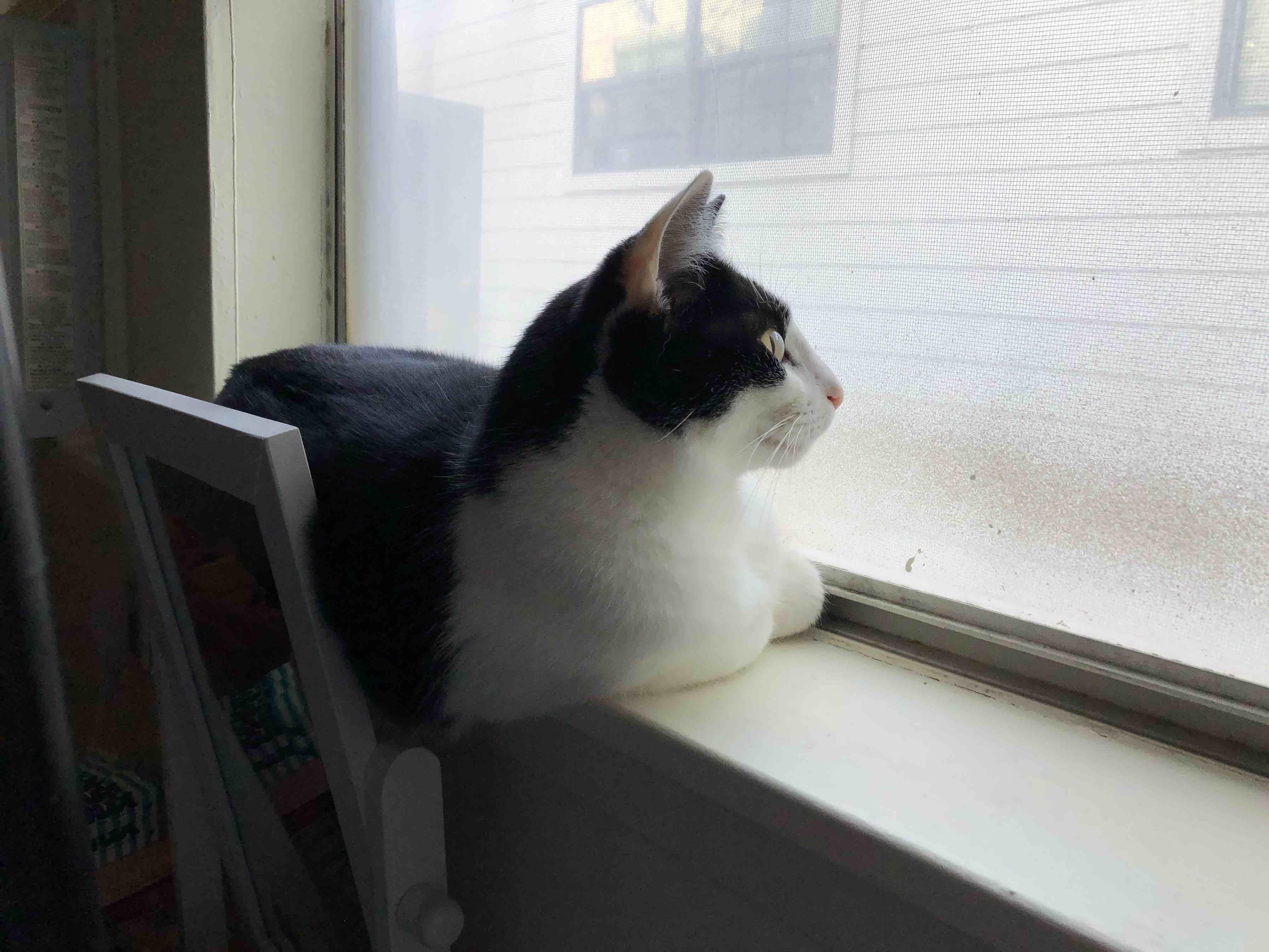 Question details sensitive content