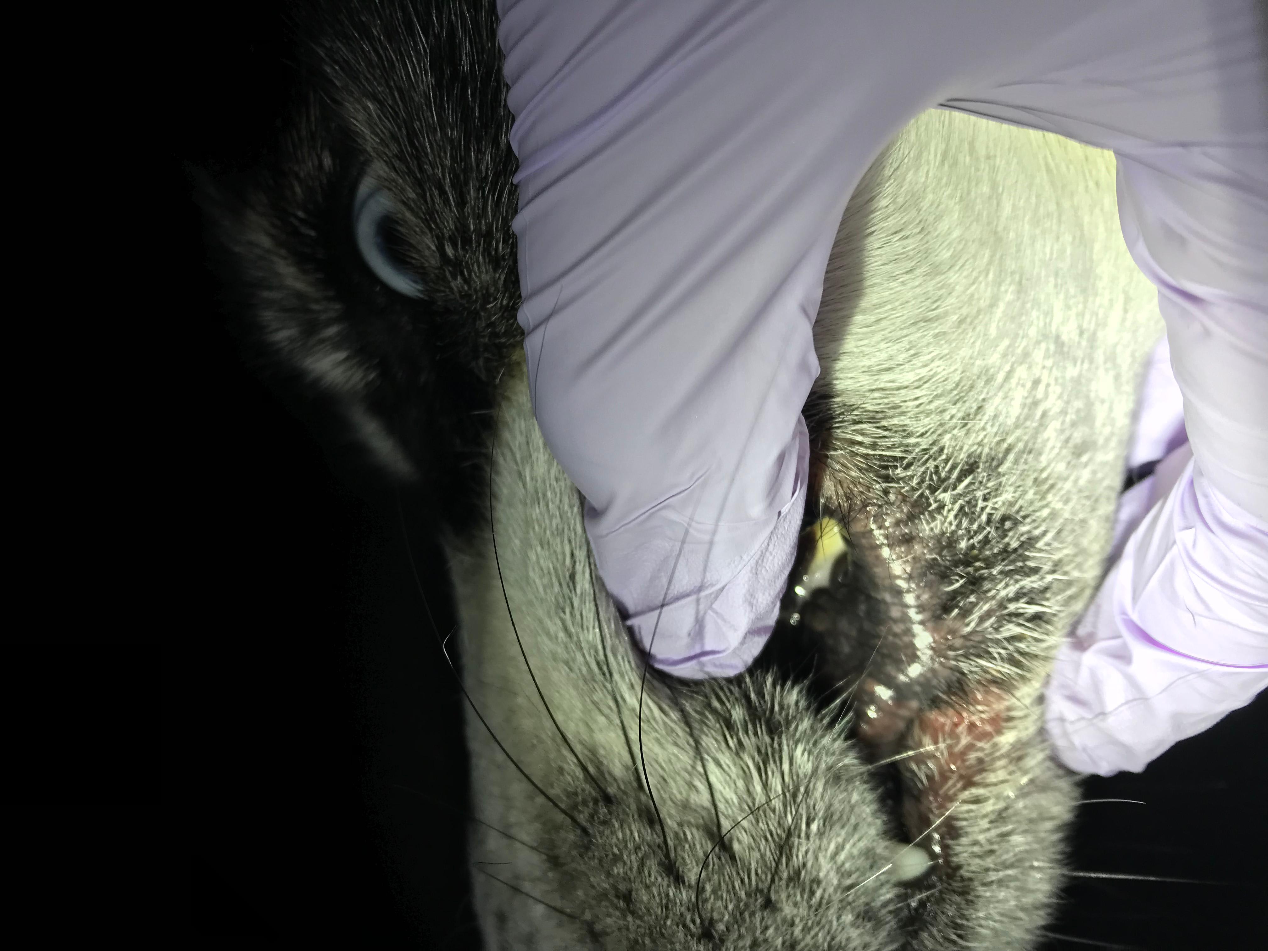 Question details sensitive content