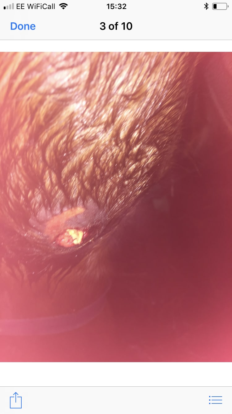 Question details sensitive content