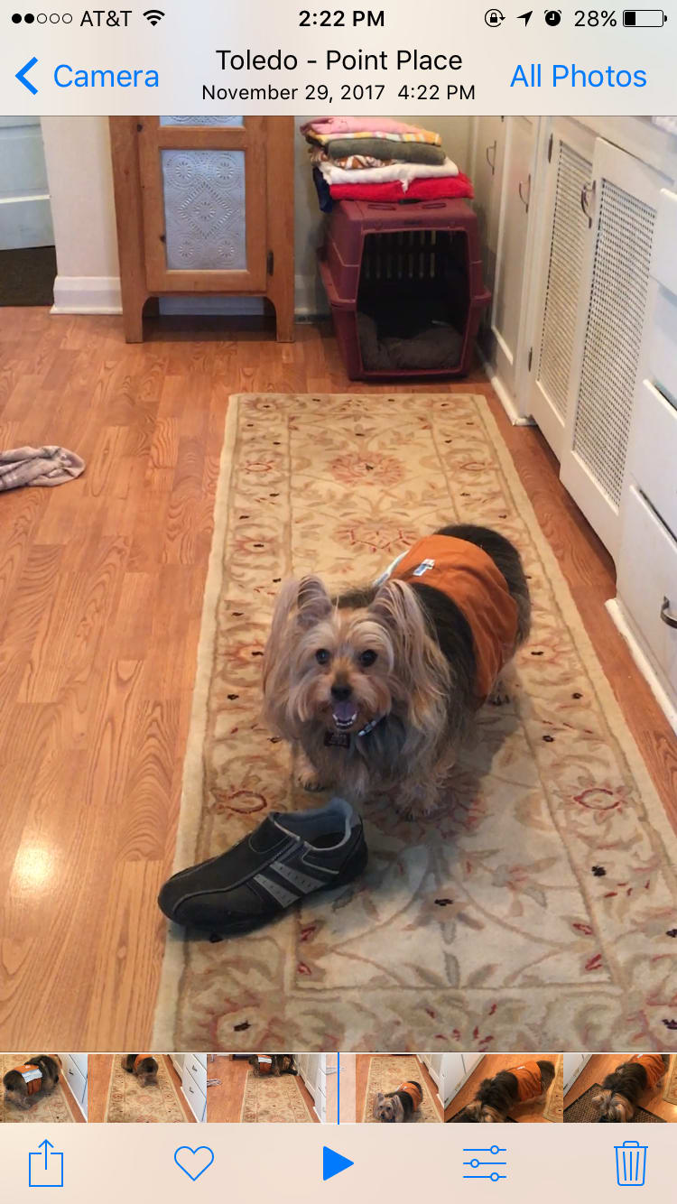 Question details sensitive content