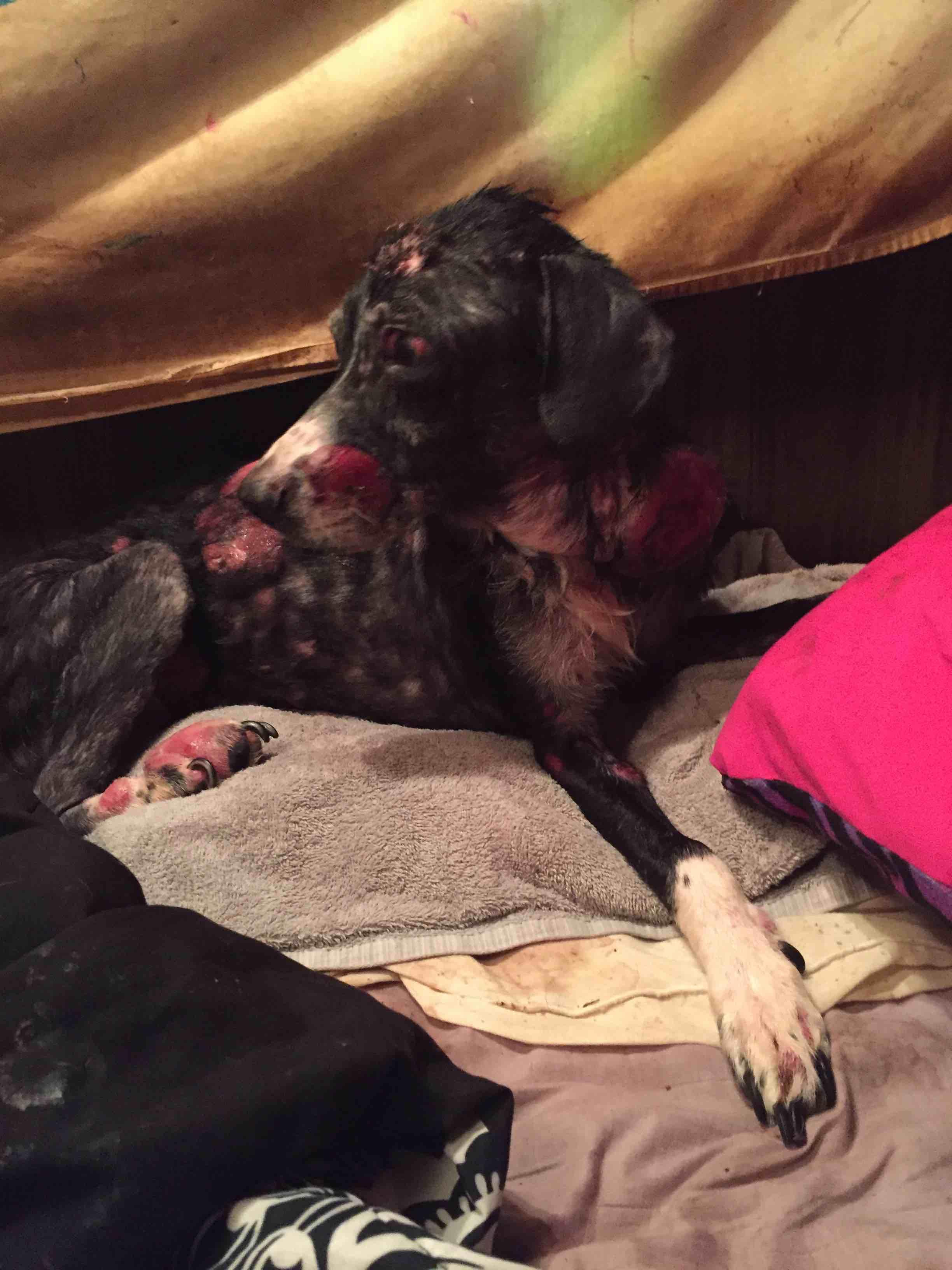 Question details sensitive content