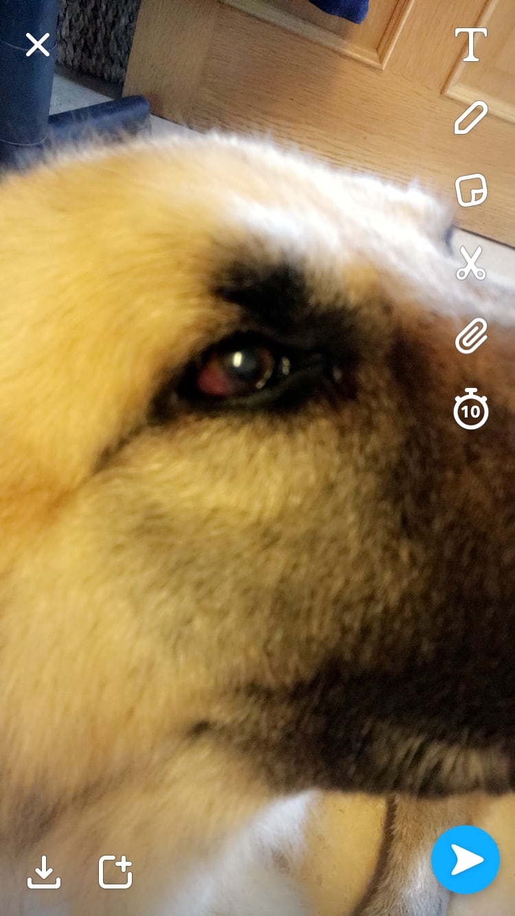 Question details sensitive content