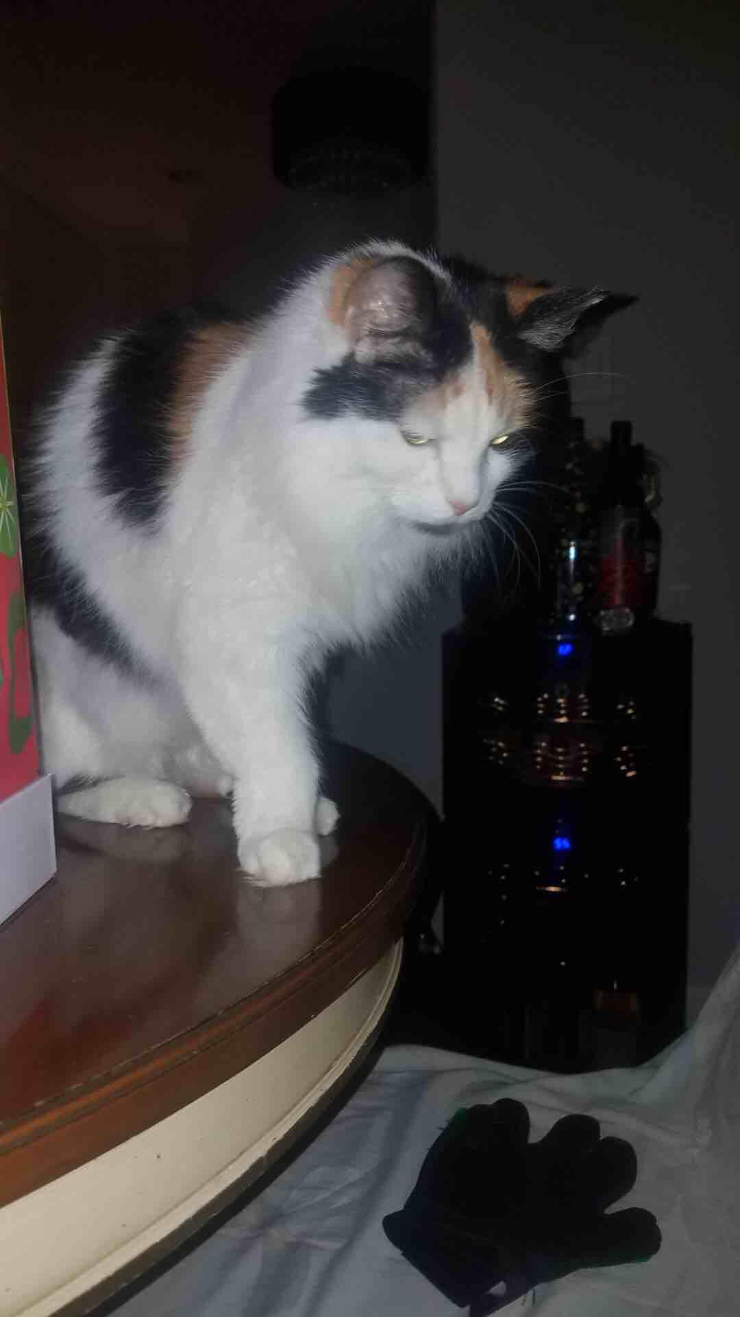 Question details sensitive content