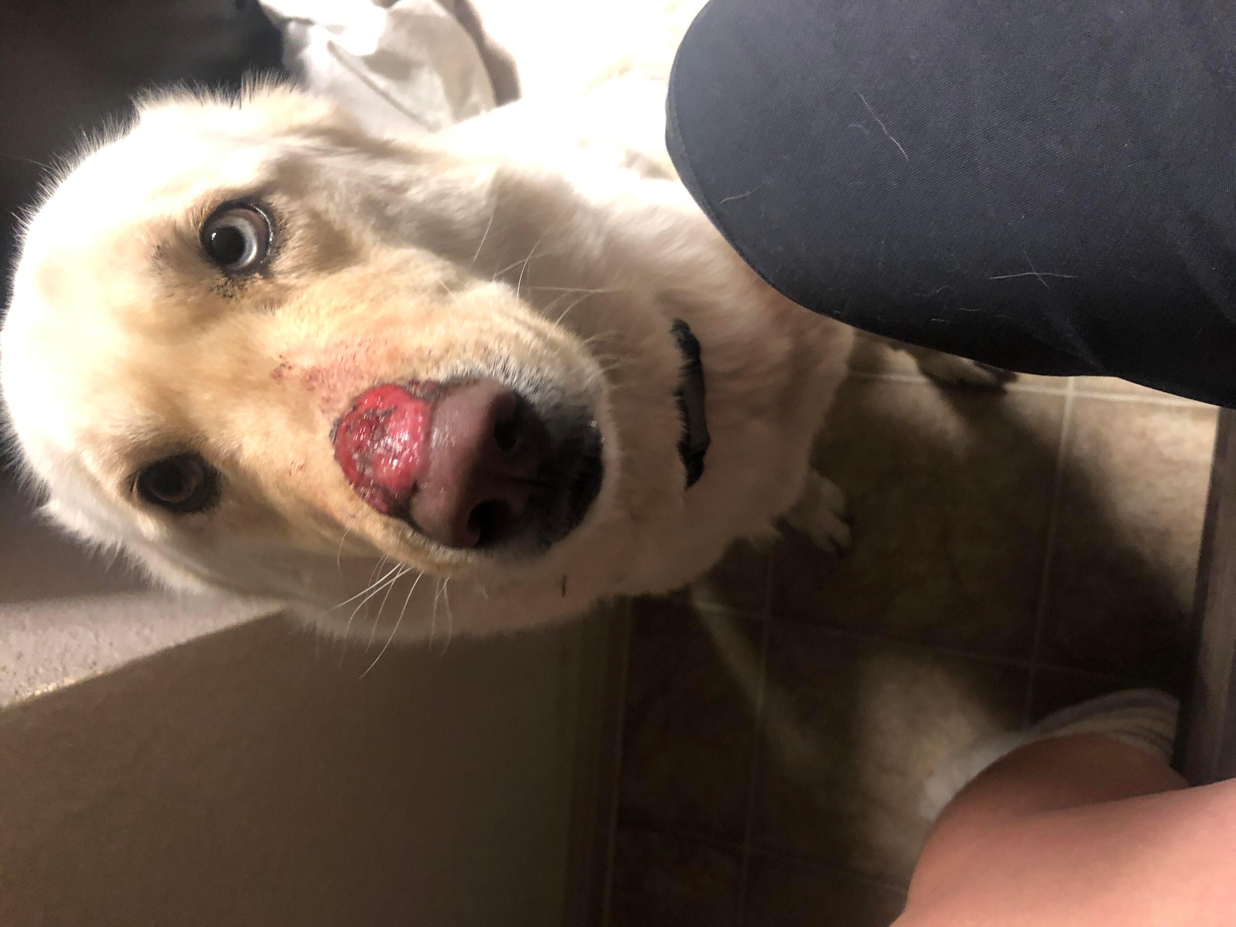 Question details sensitive content