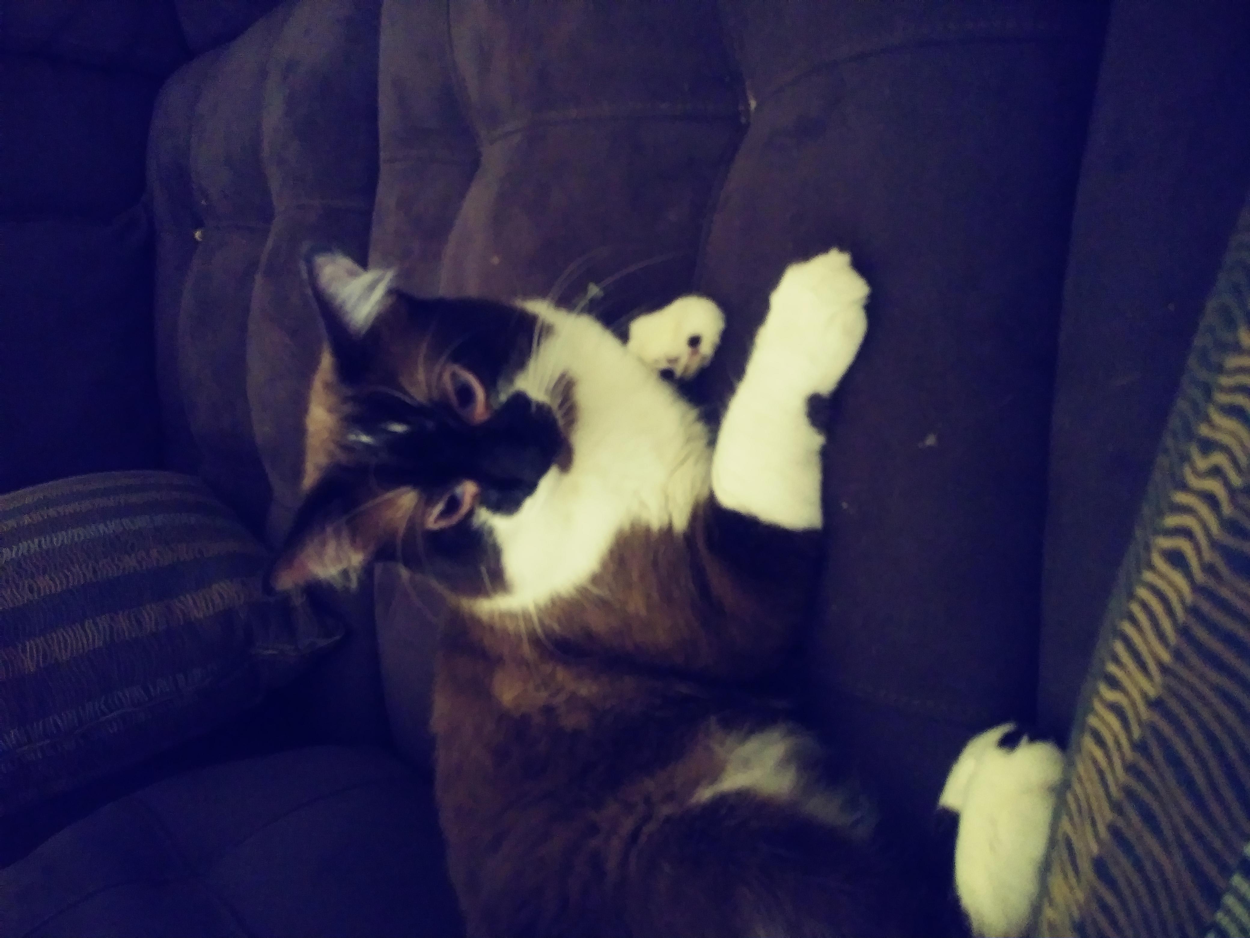 Question details sensitive content