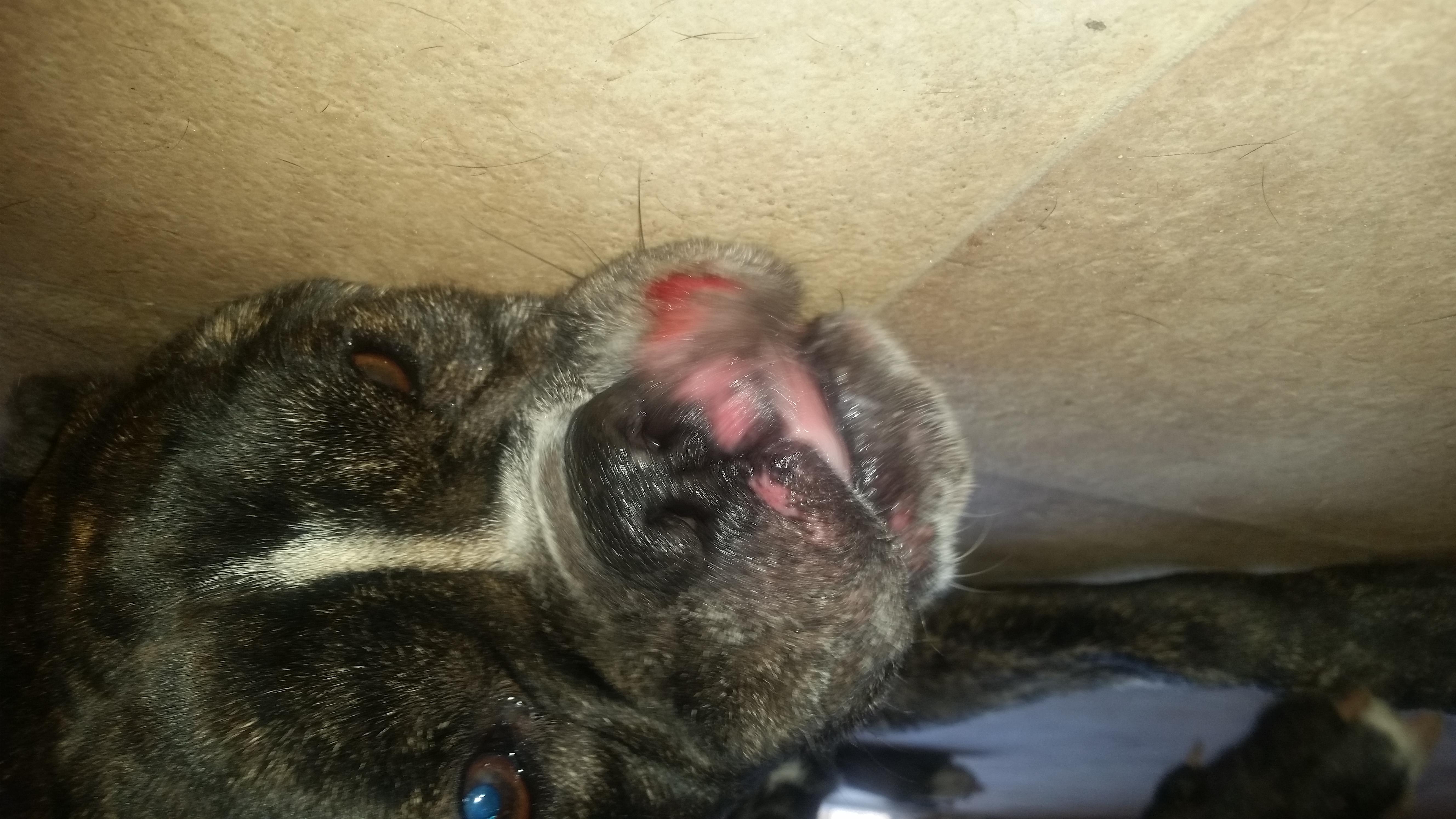 Question details sensitive content