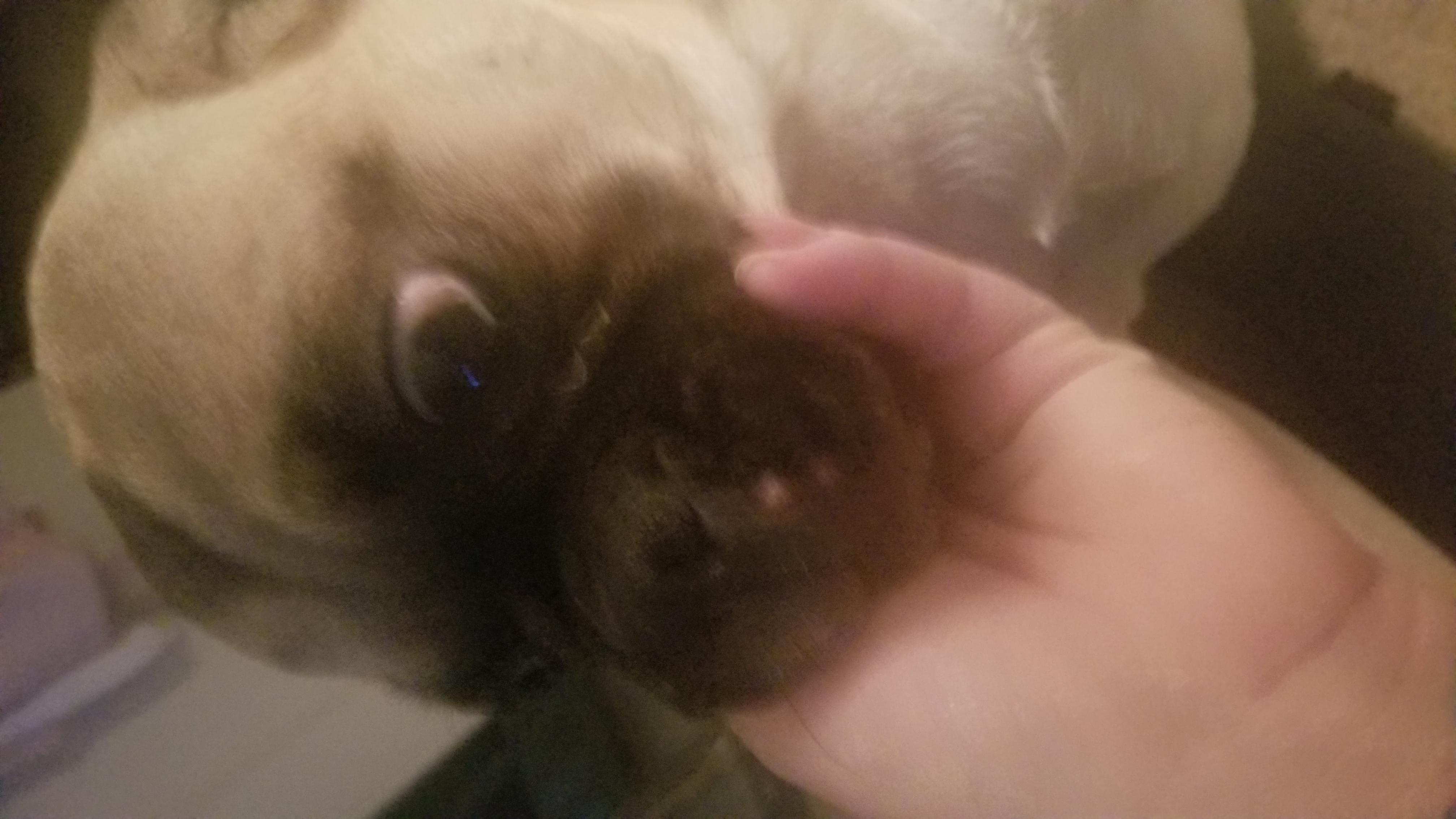 Question details sensitive content