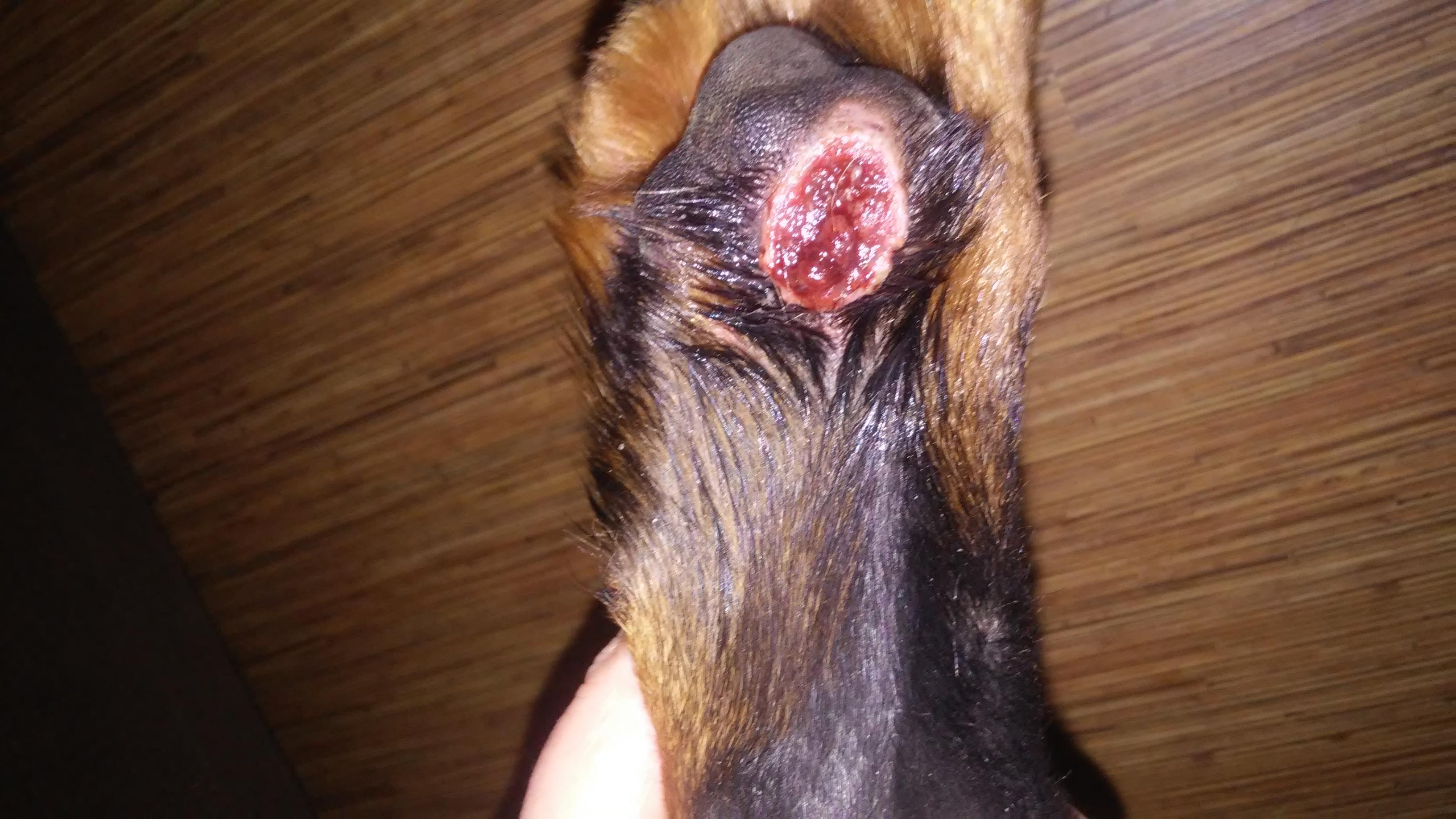 Question details sensitive content