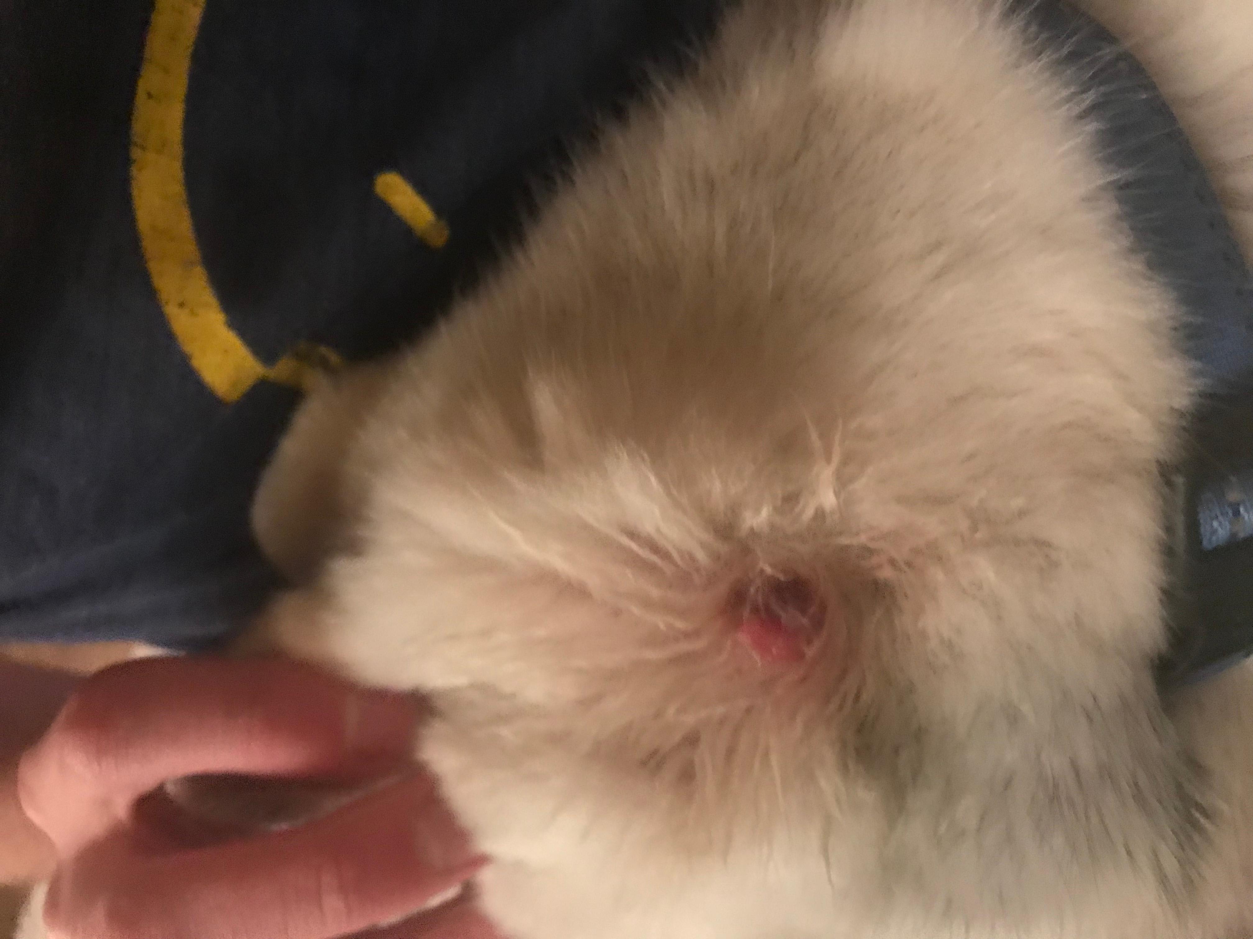 Question details sensitive content