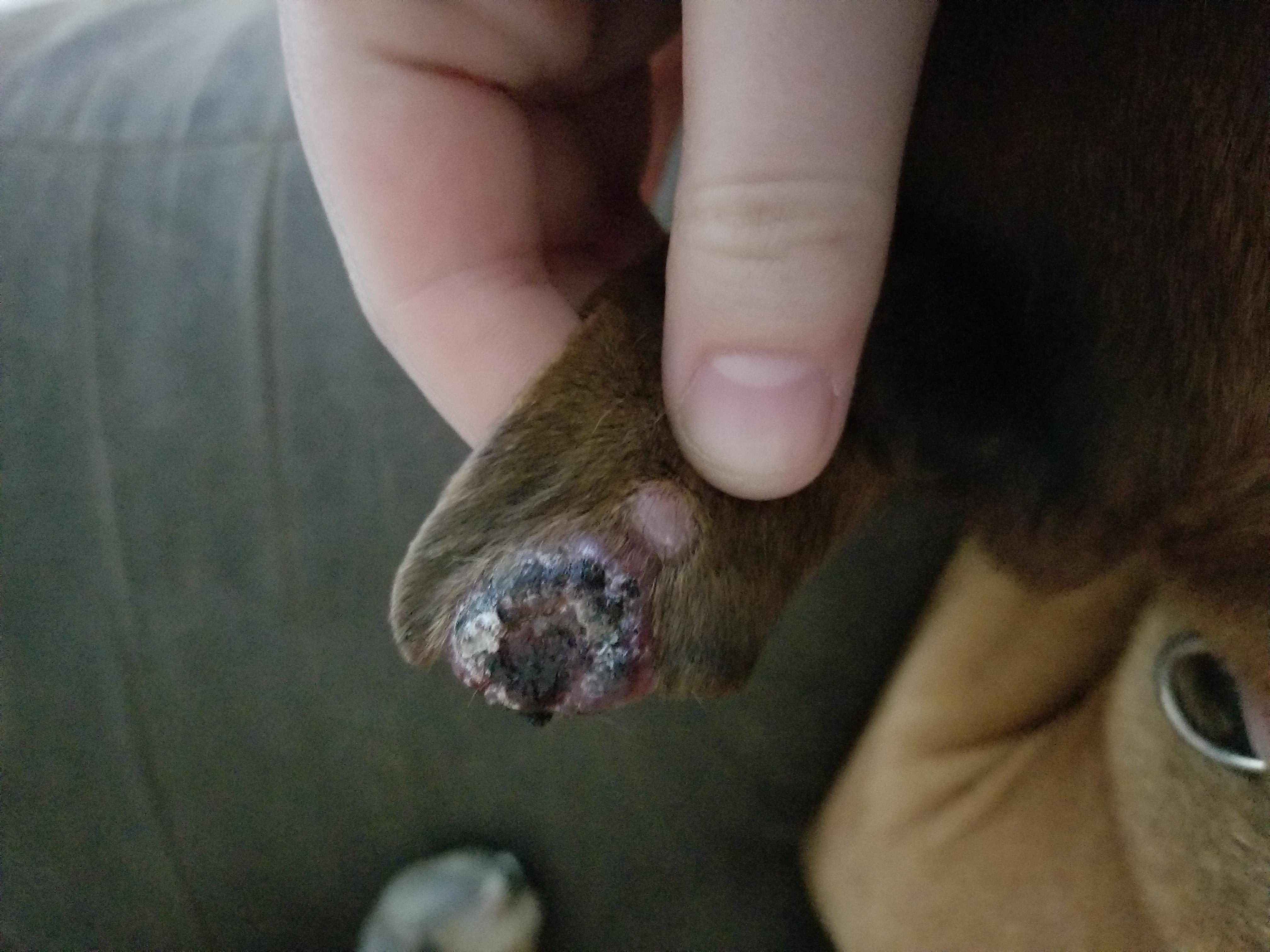 Question details sensitive content