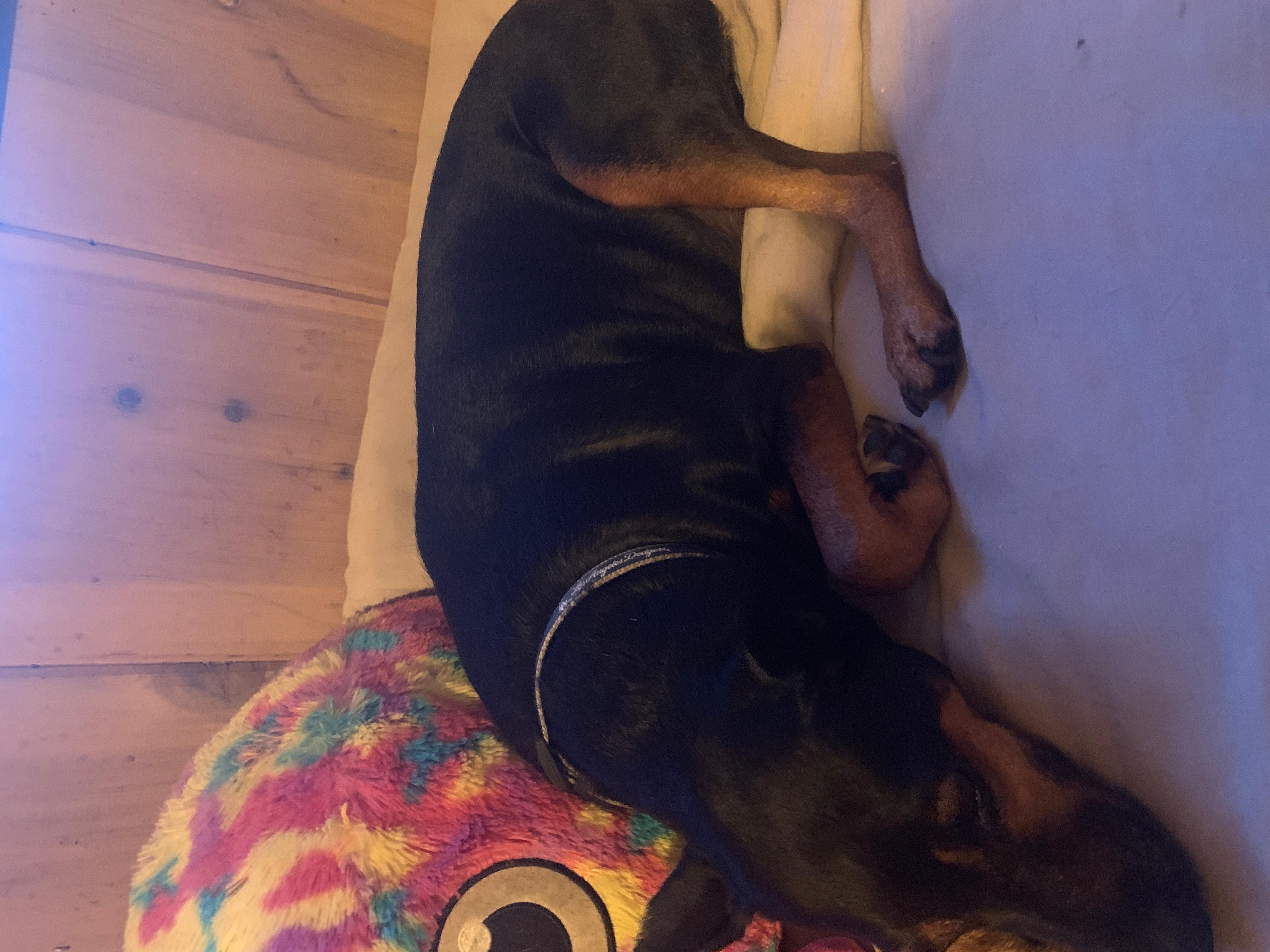 Question details sensitive content