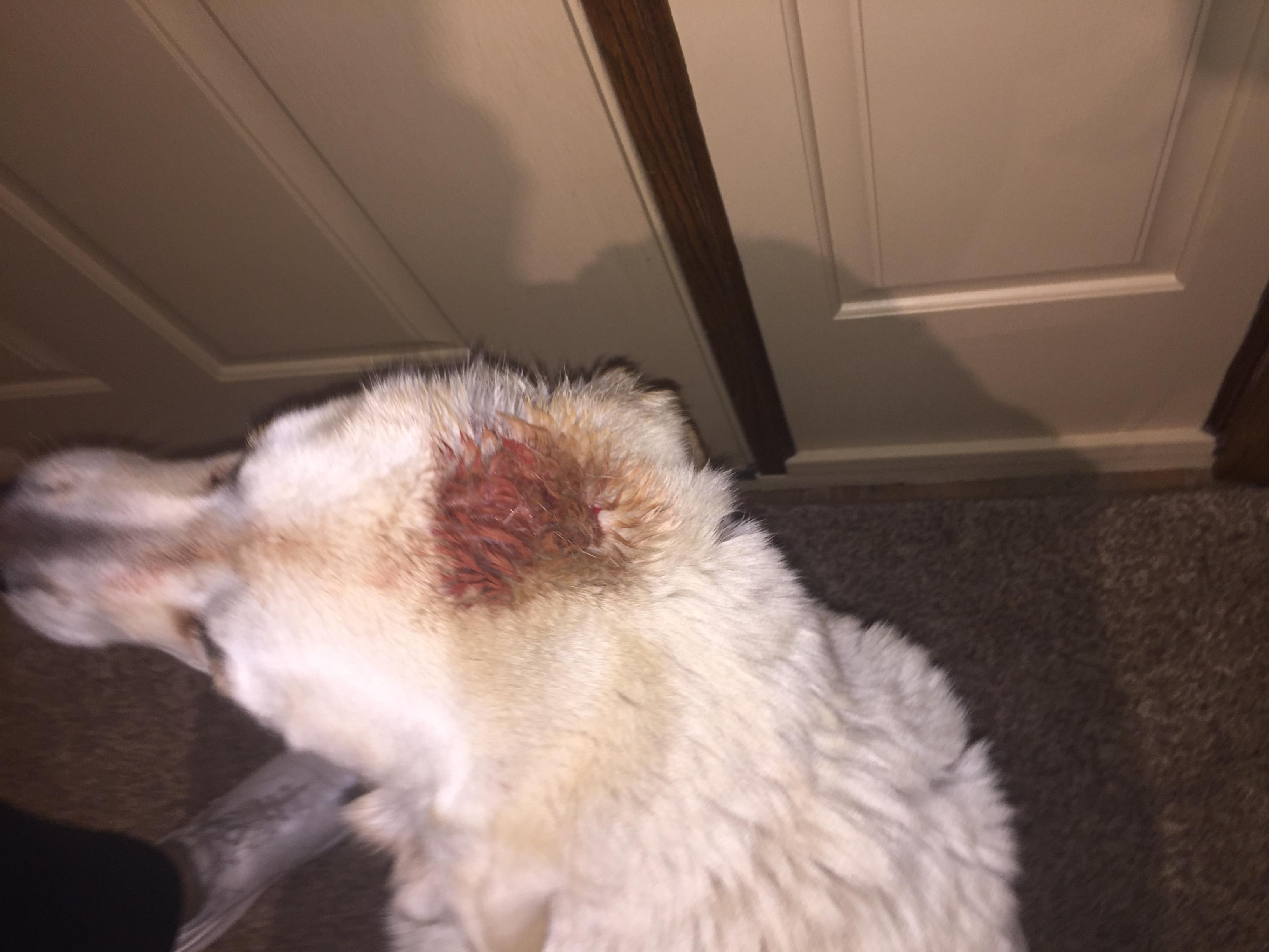 Question details sensitive content