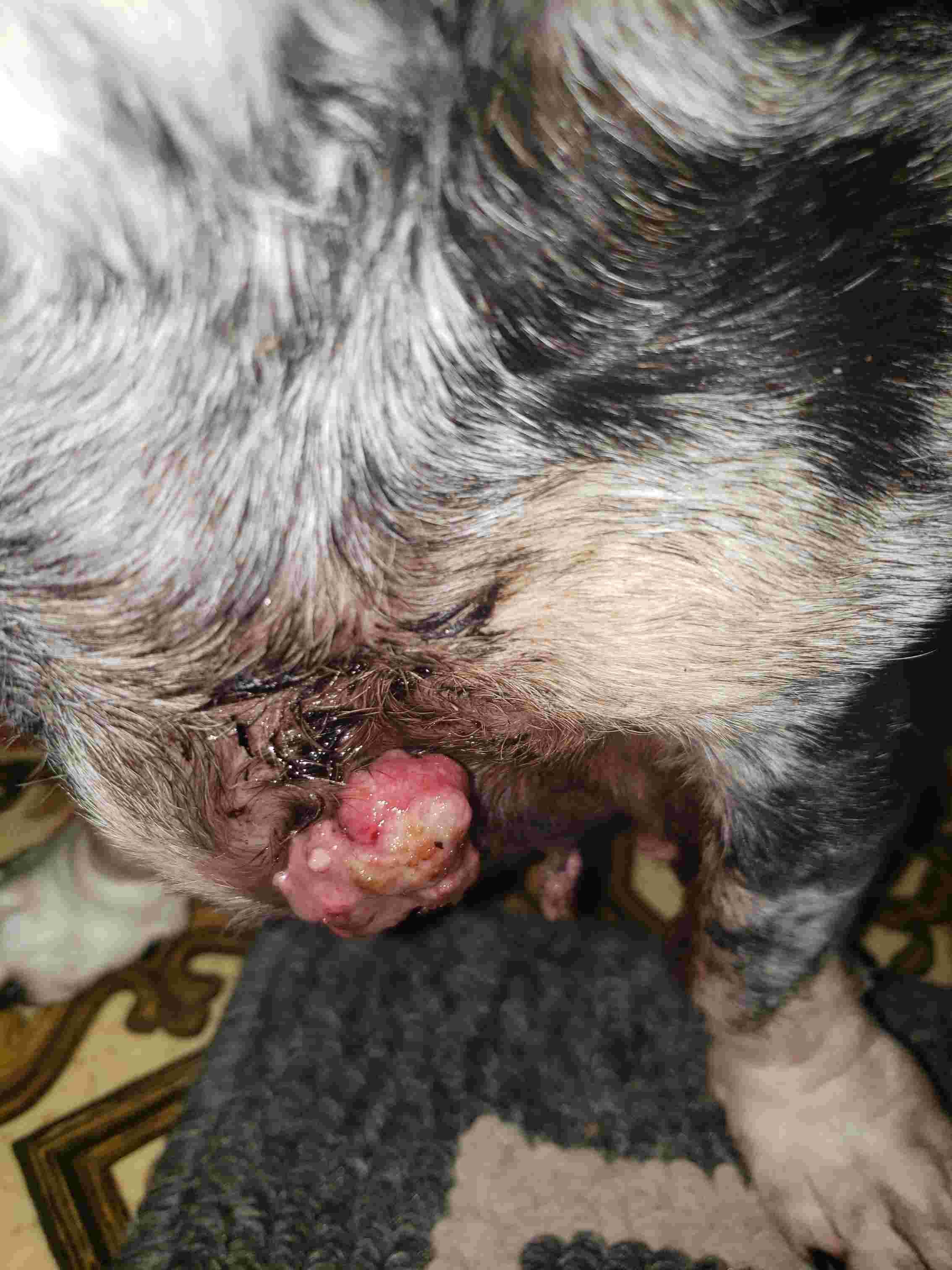 Question details sensitive content