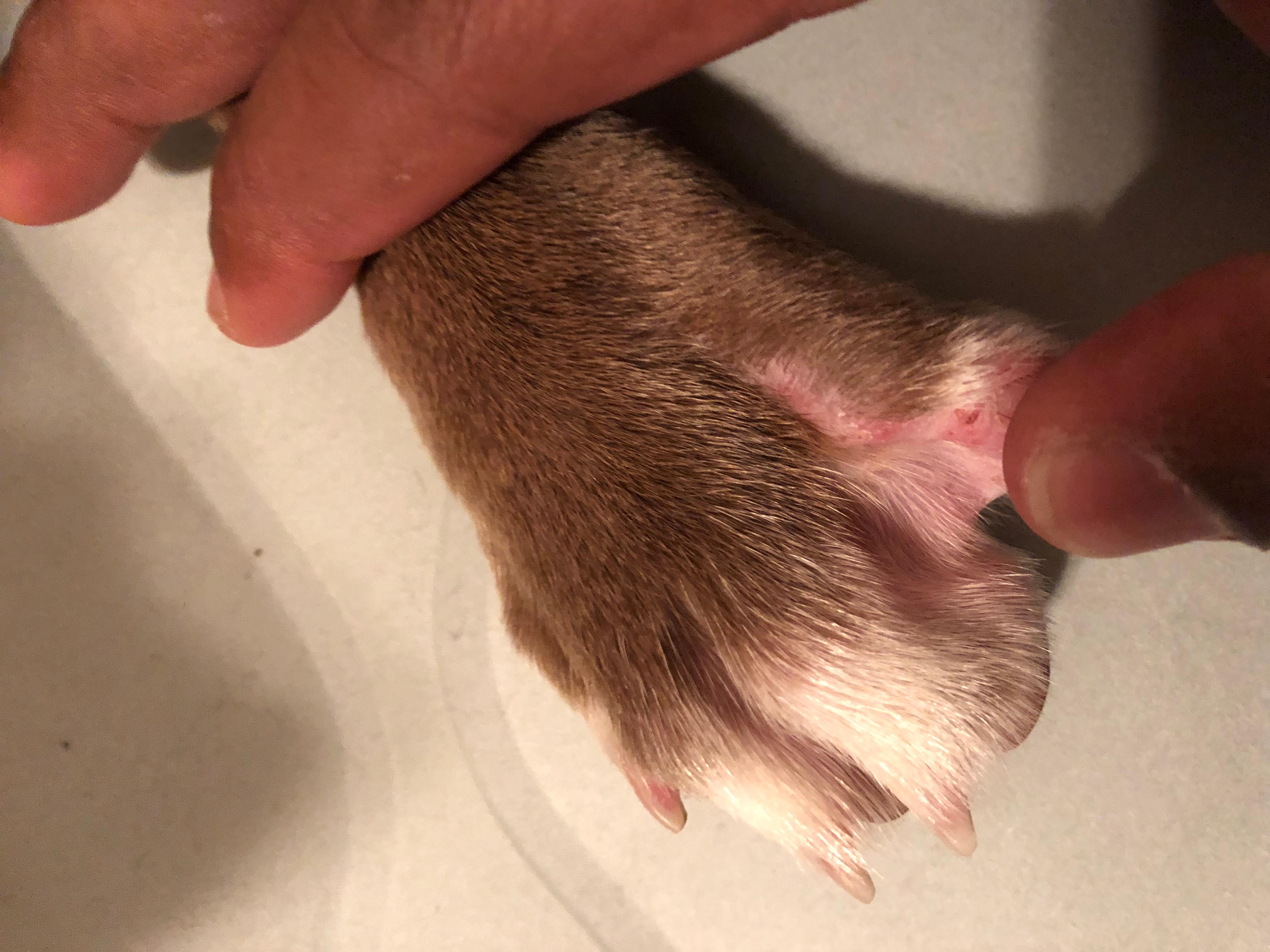 Question details sensitive content