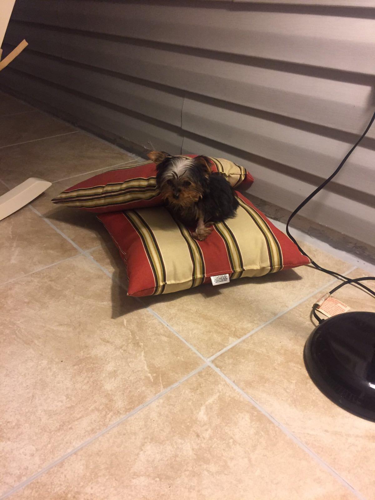 Question details sensitive content