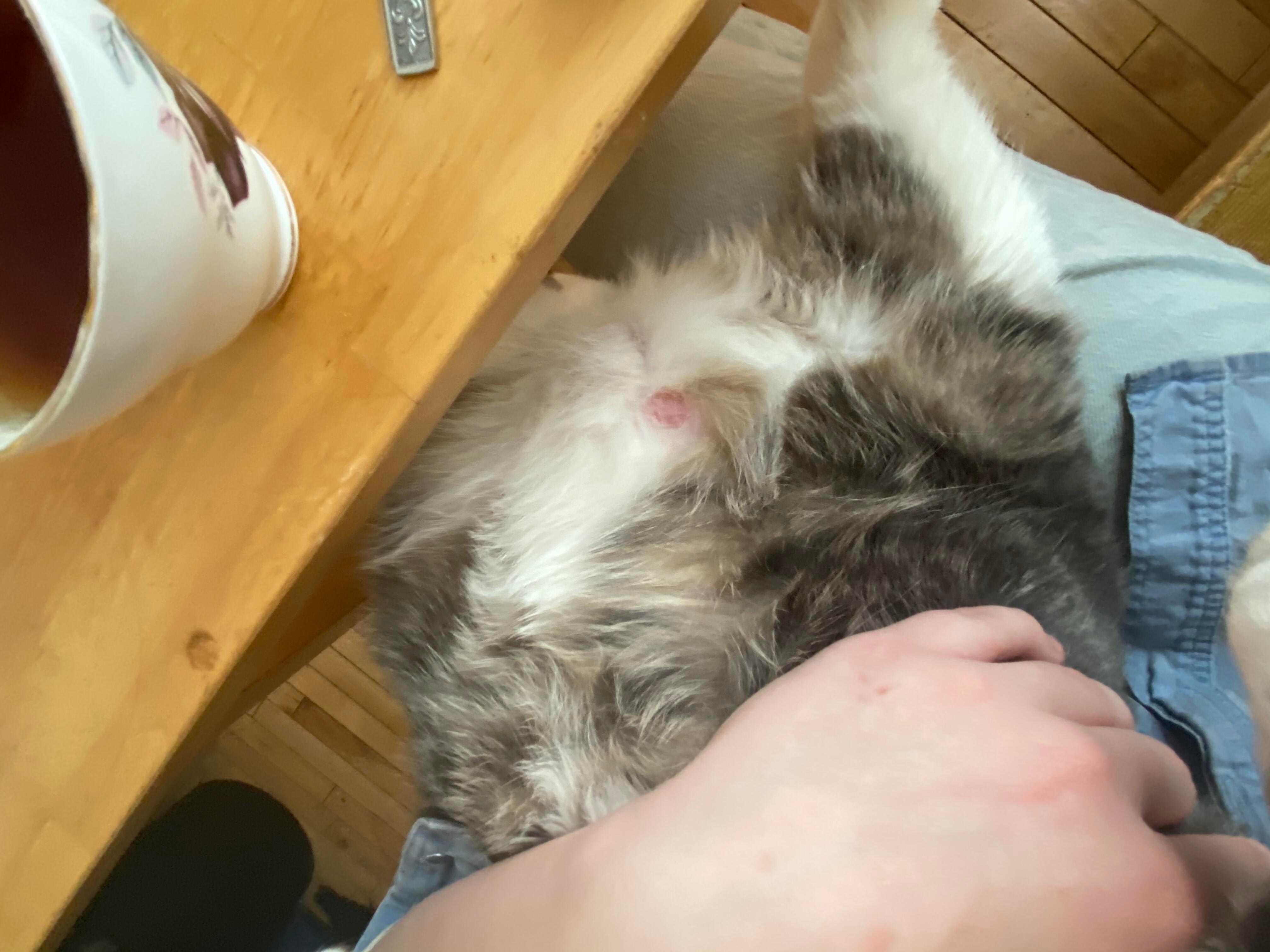 Question details sensitive content