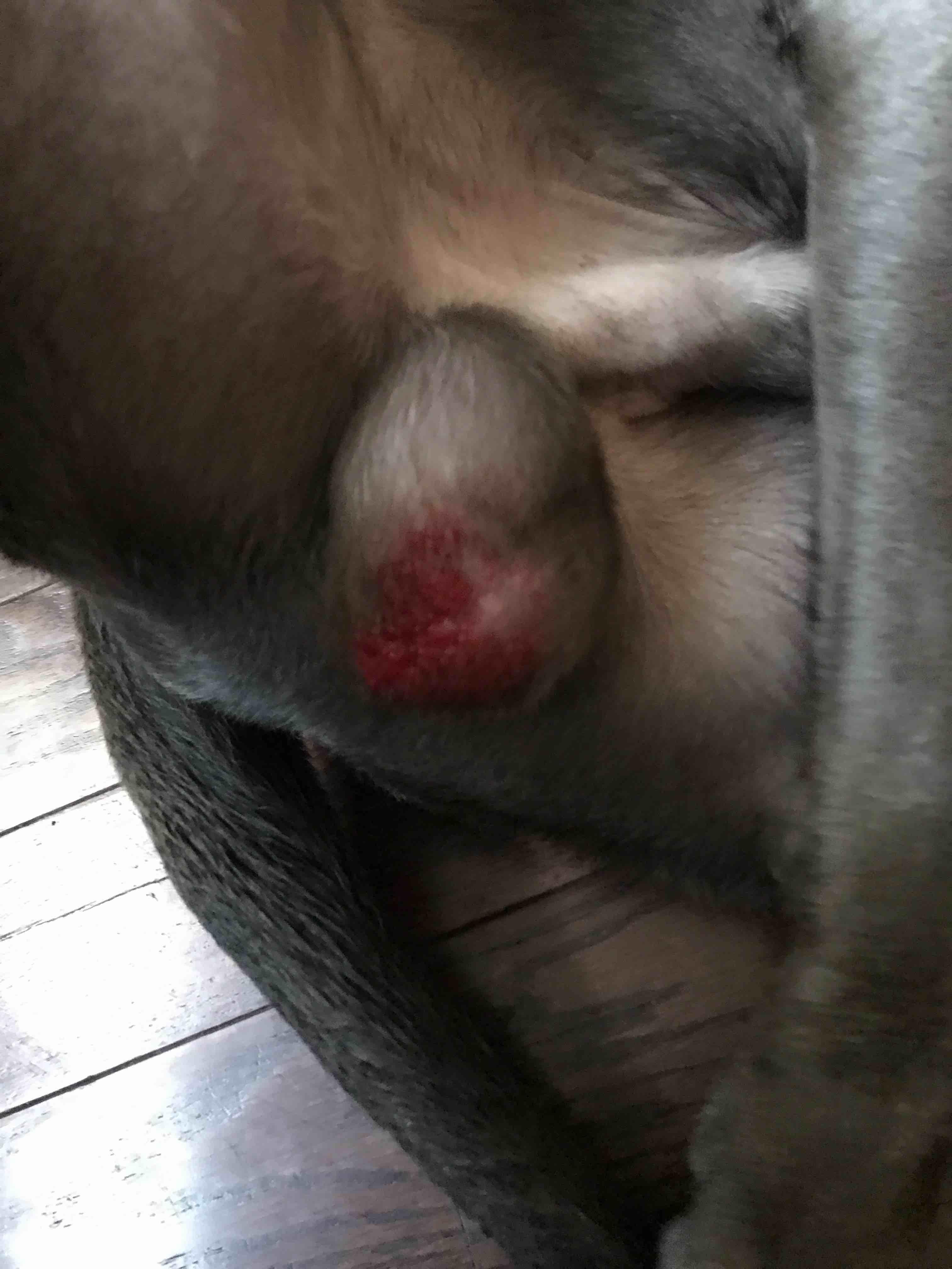 Question details sensitive content