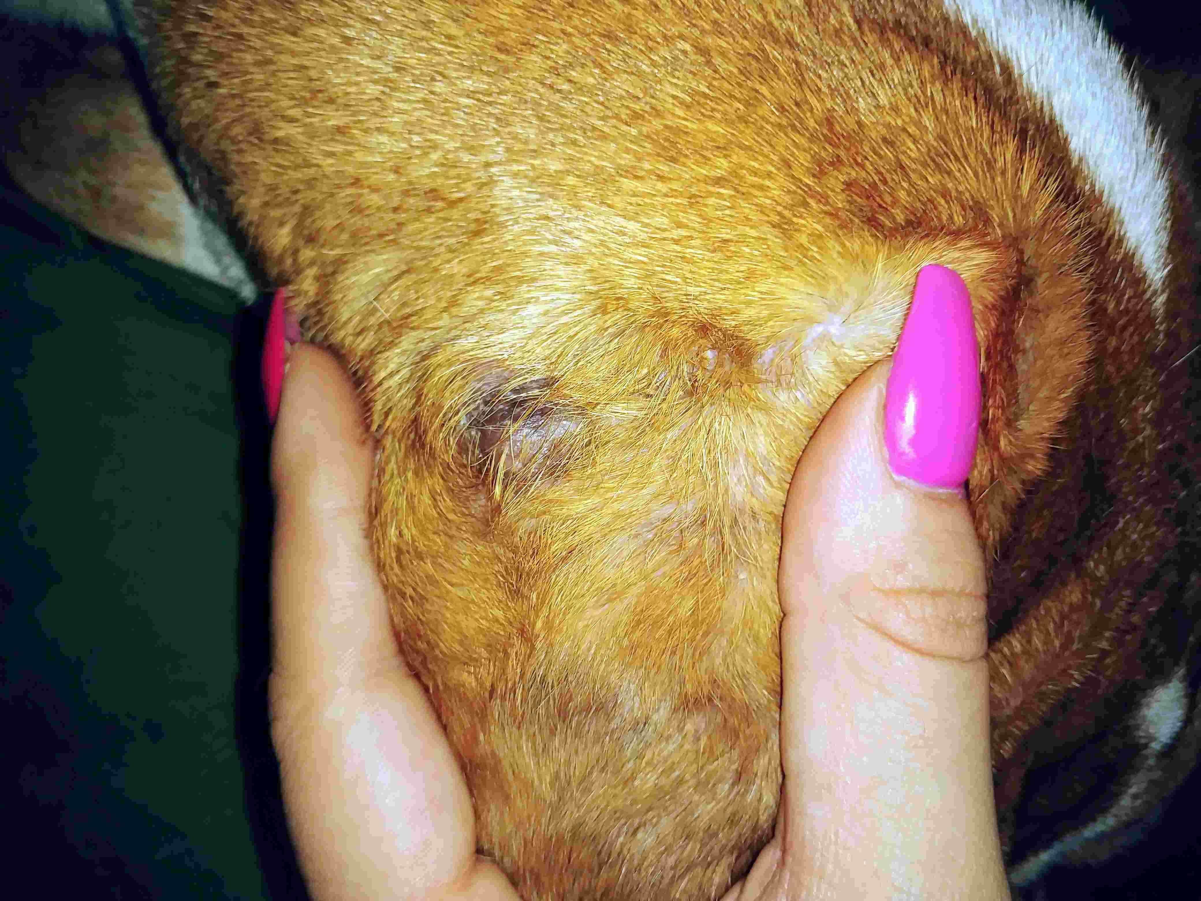 Question details sensitive content