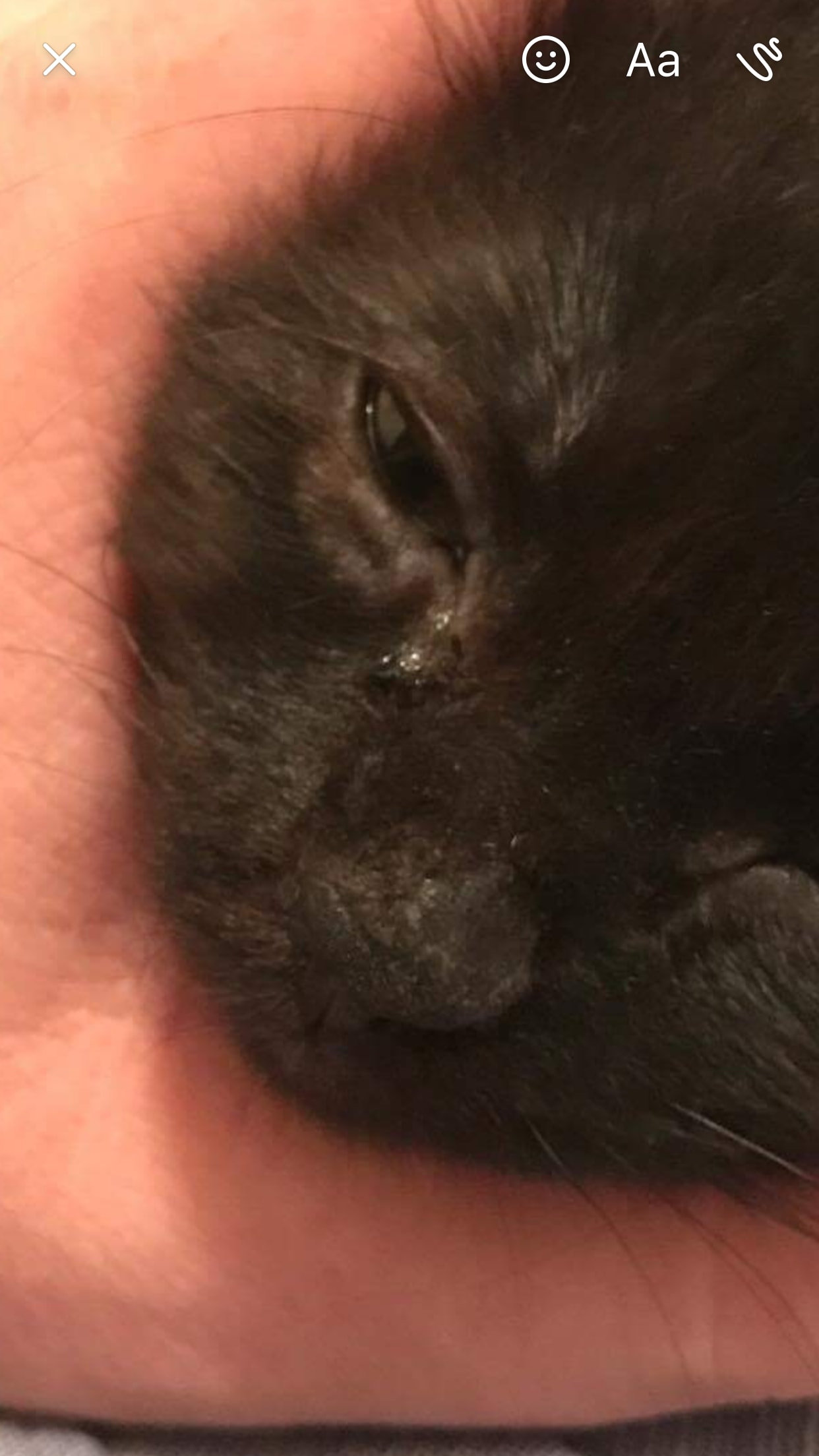 Question details sensitive content