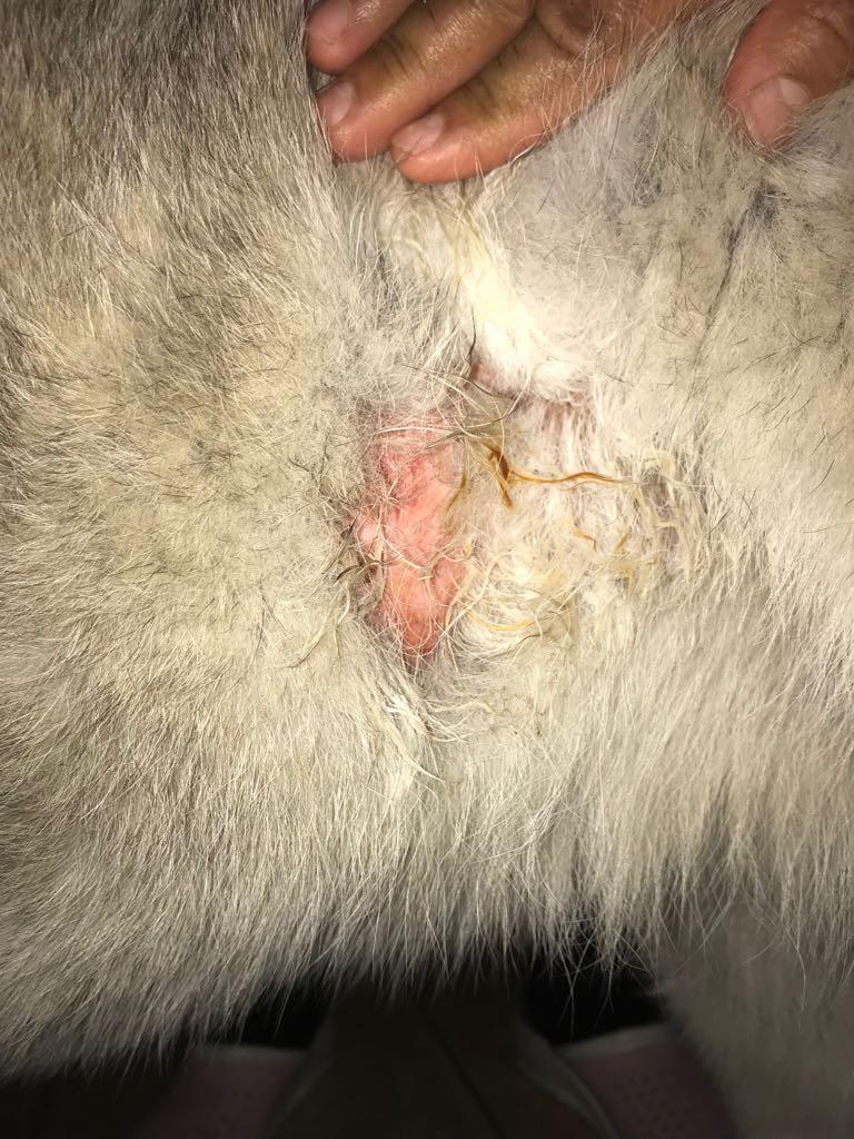 Question details sensitive content