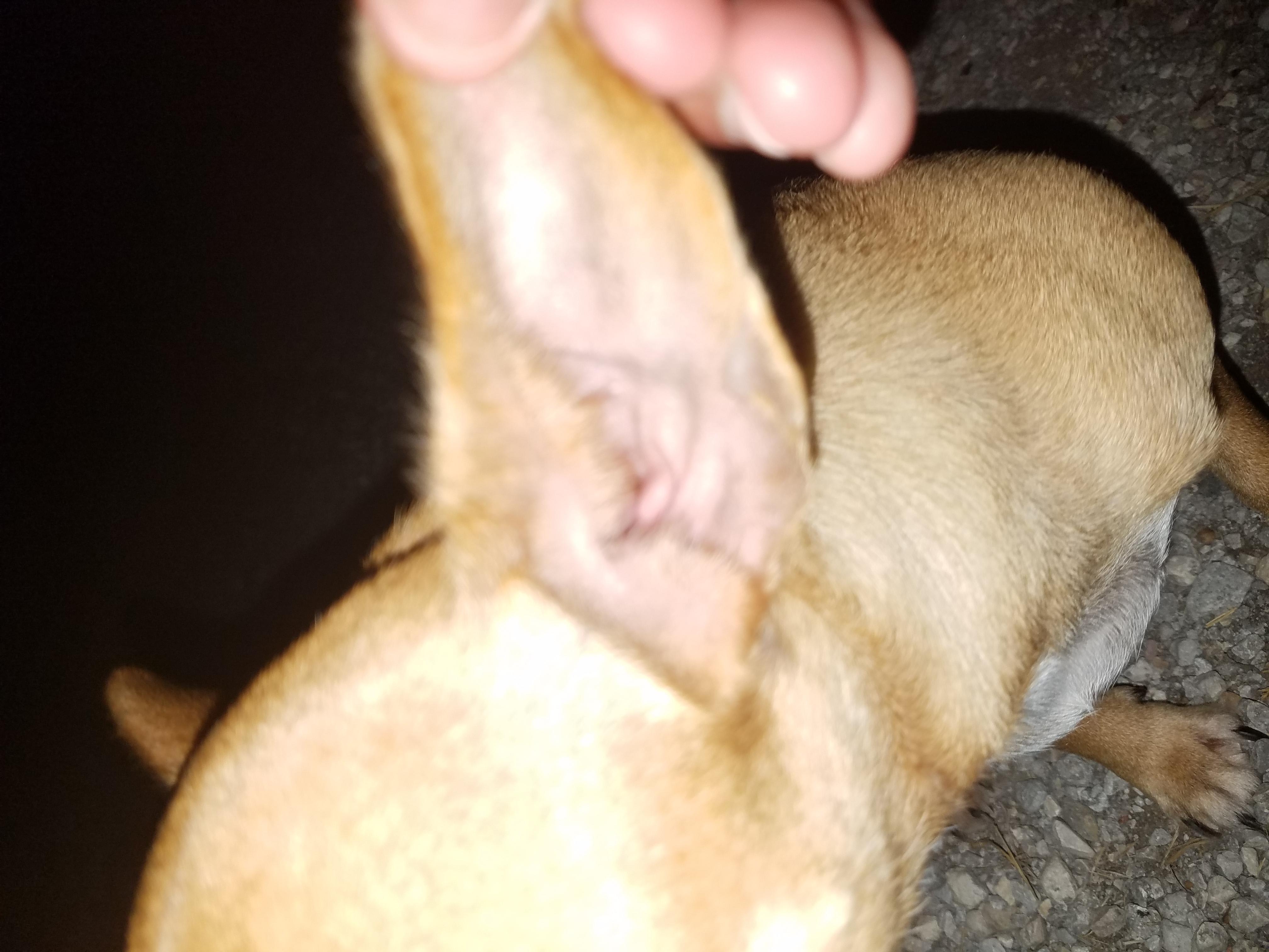 Question details sensitive content