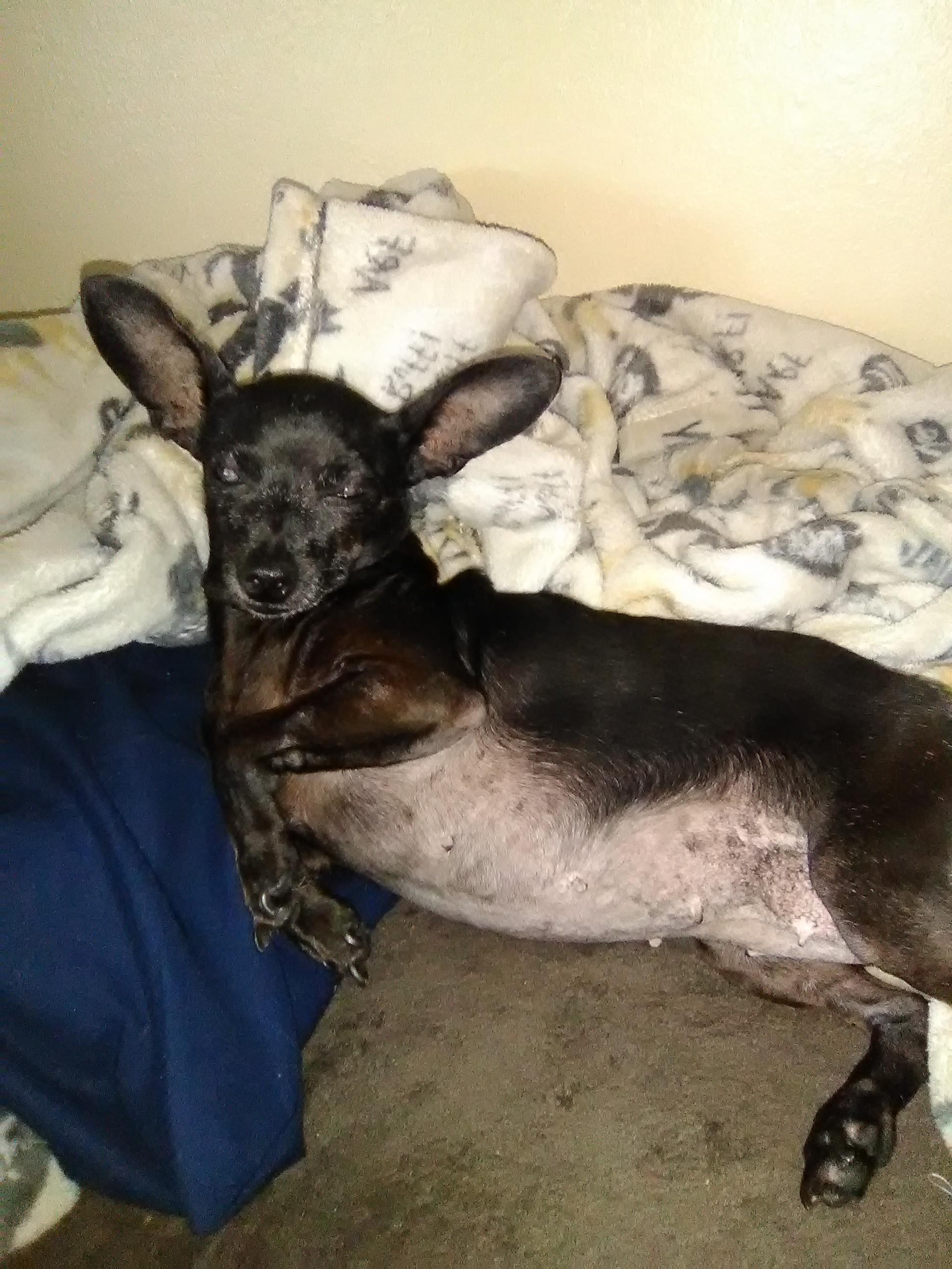 Question details sensitive content