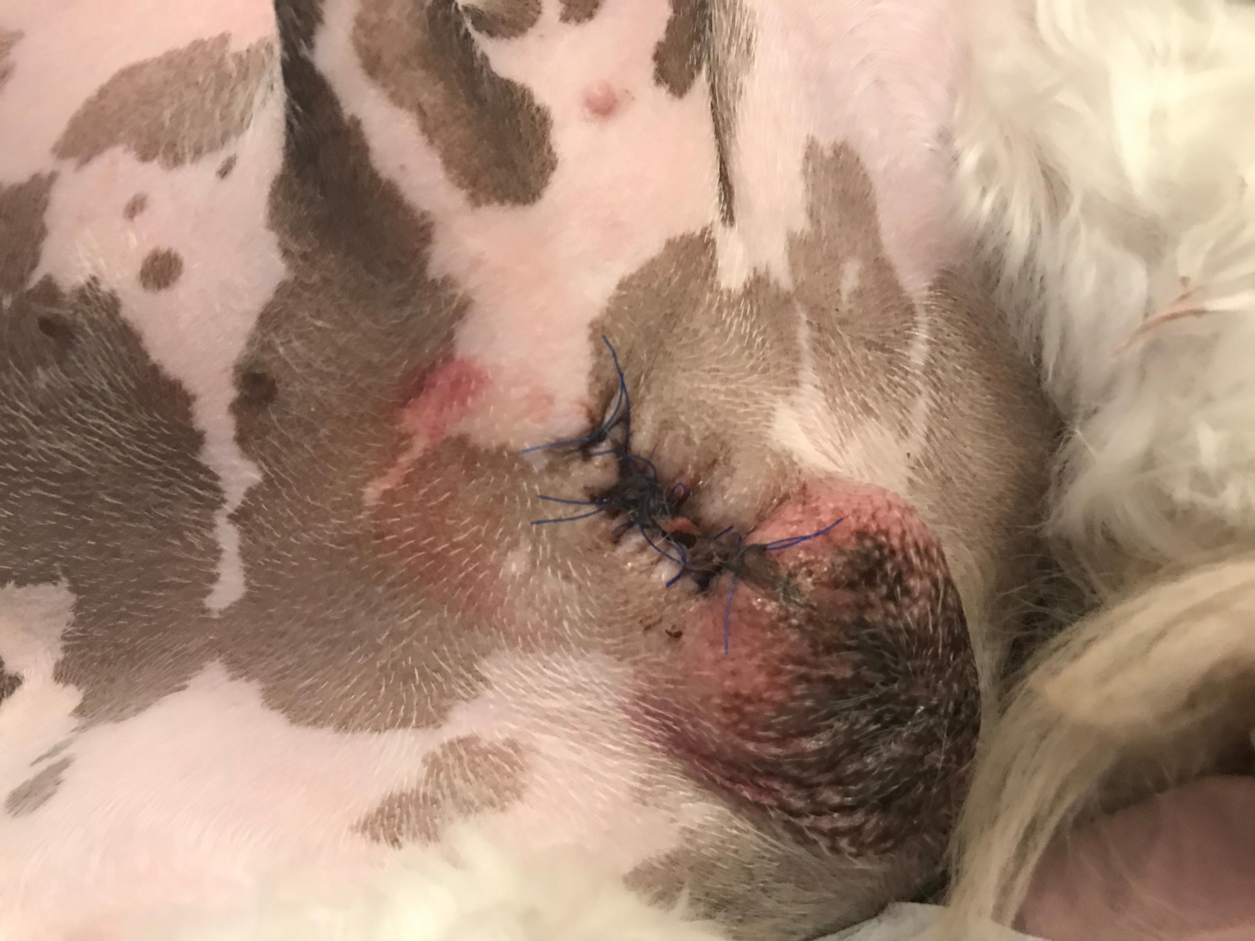 Question details sensitive content