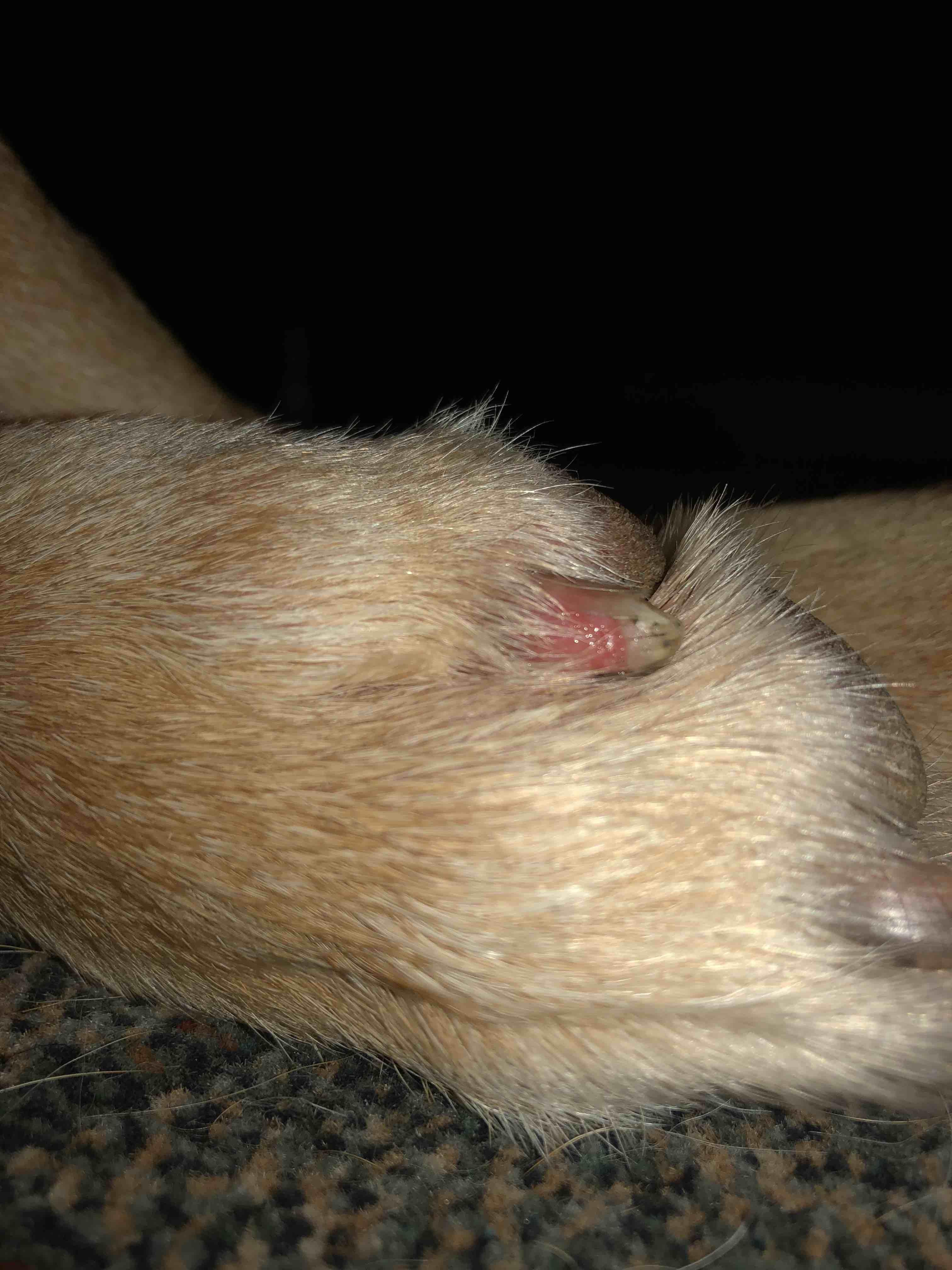 Question details sensitive content