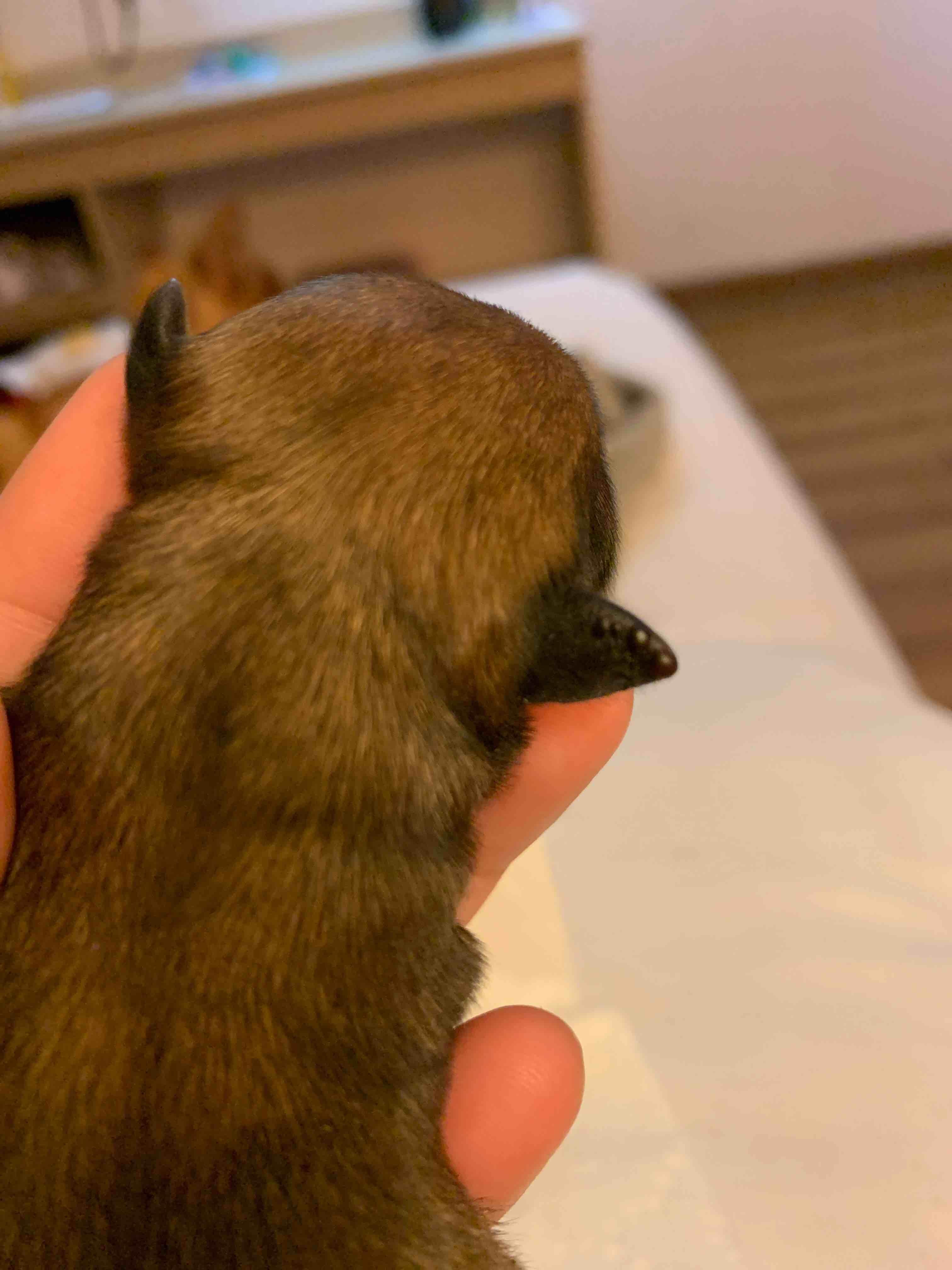 Question details sensitive content