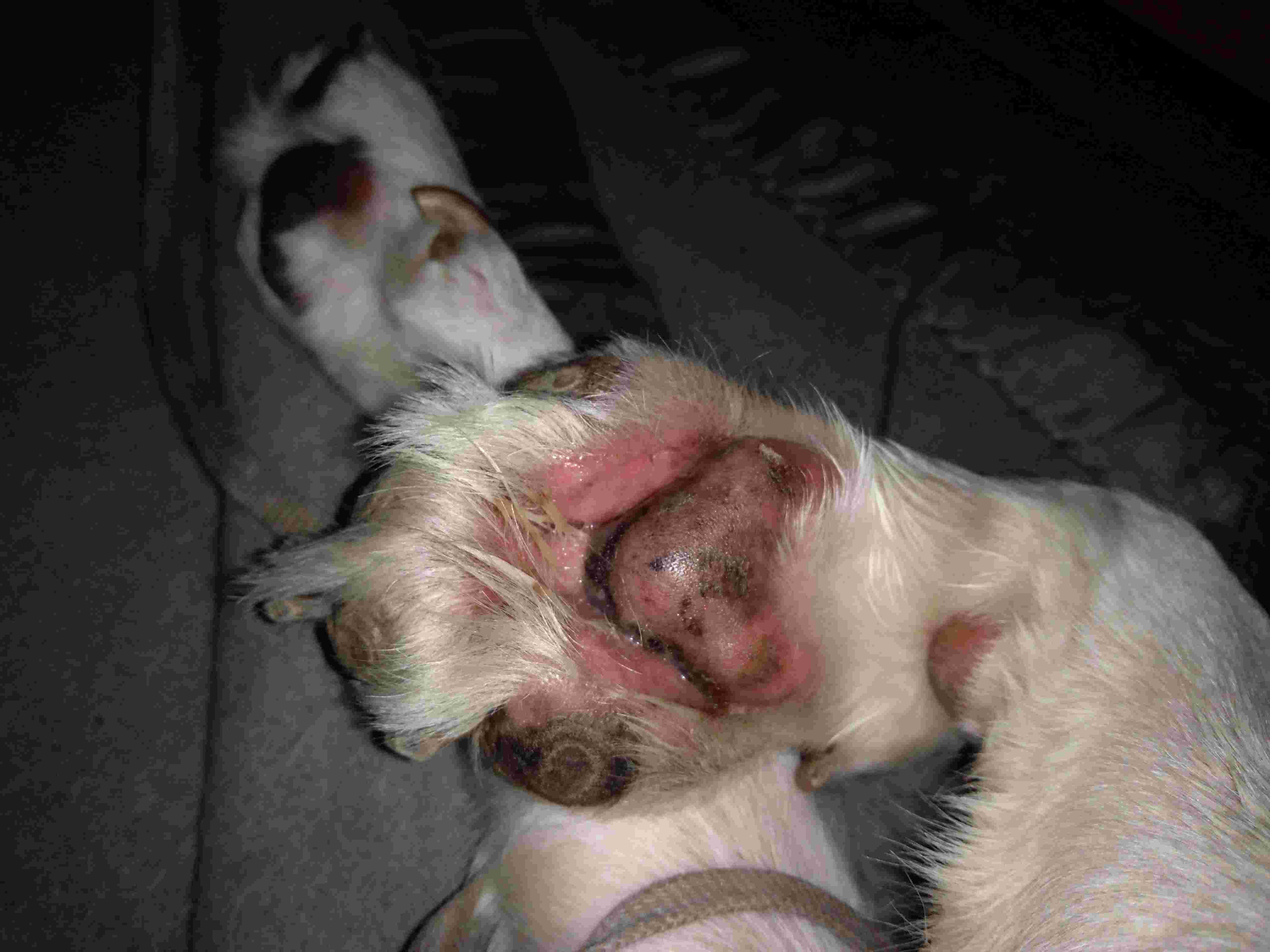 Question details sensitive content