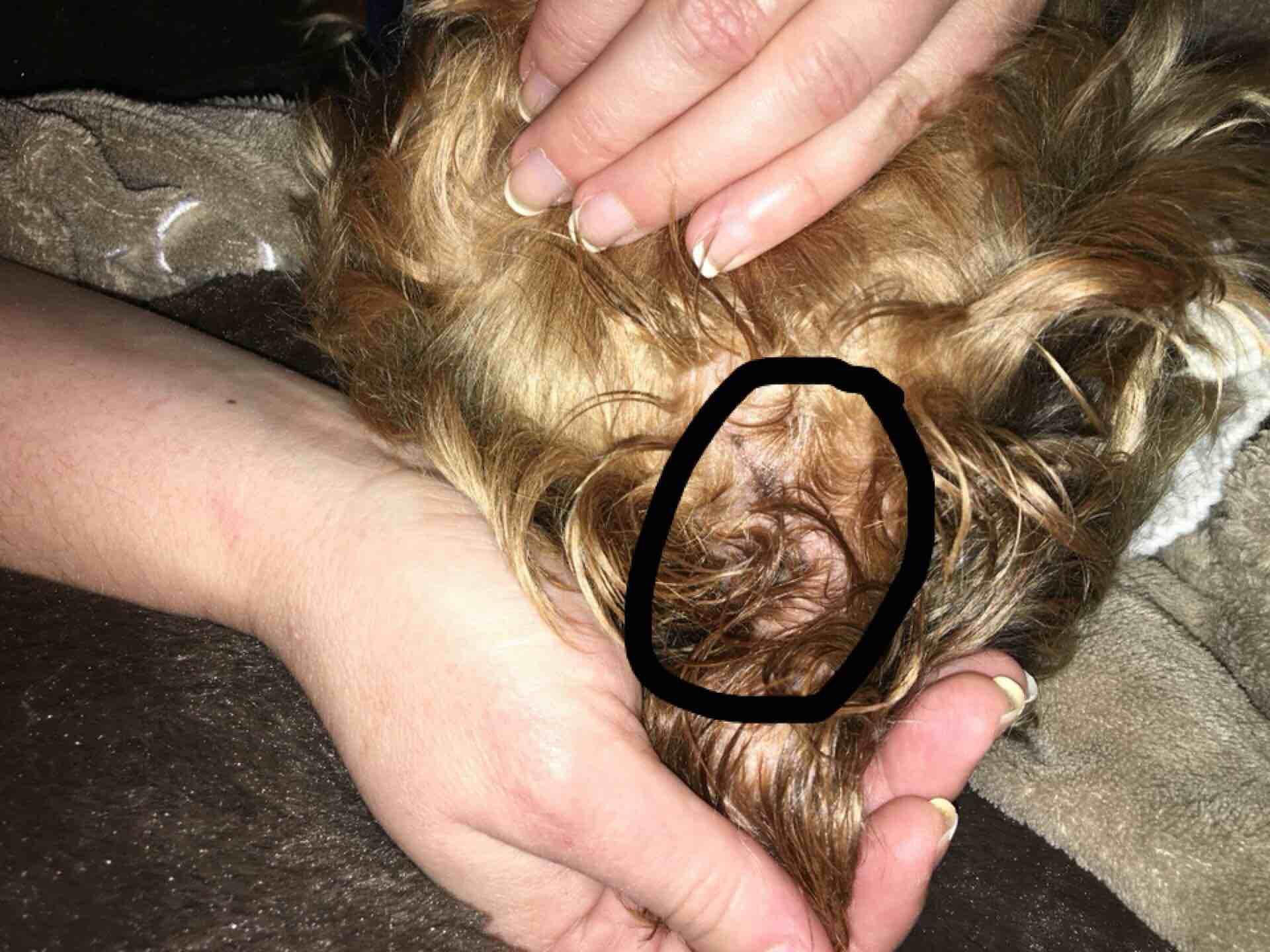 Question details sensitive content