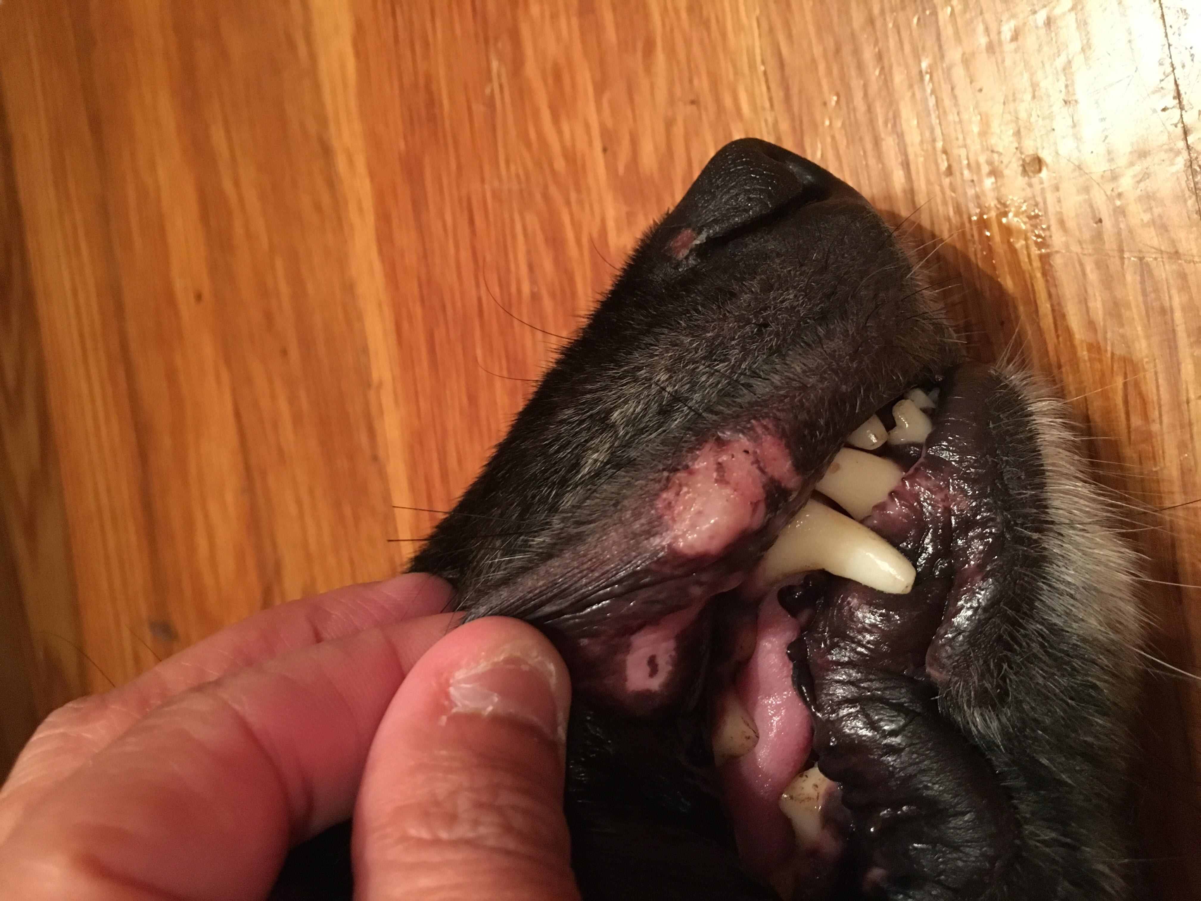 Question details sensitive content