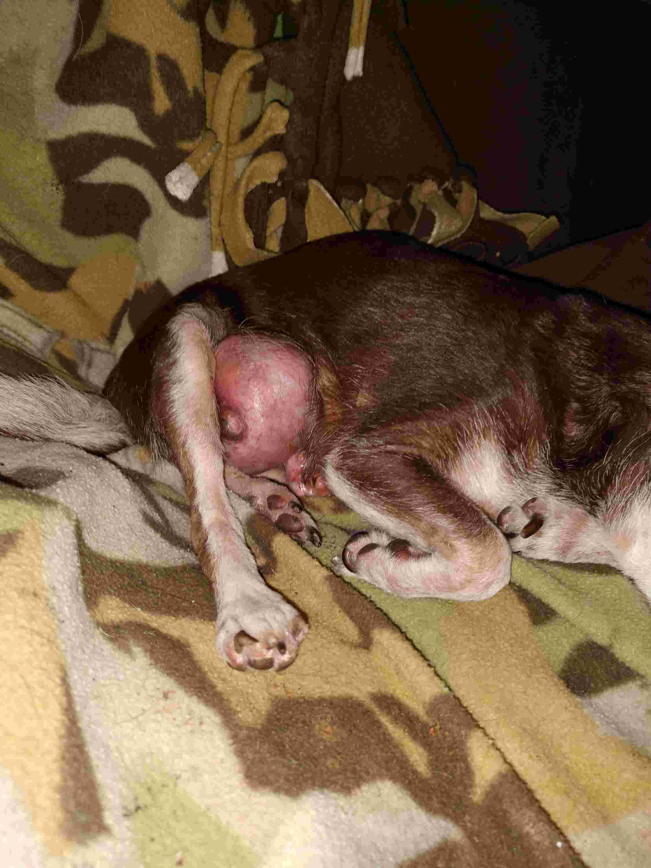 Question details sensitive content