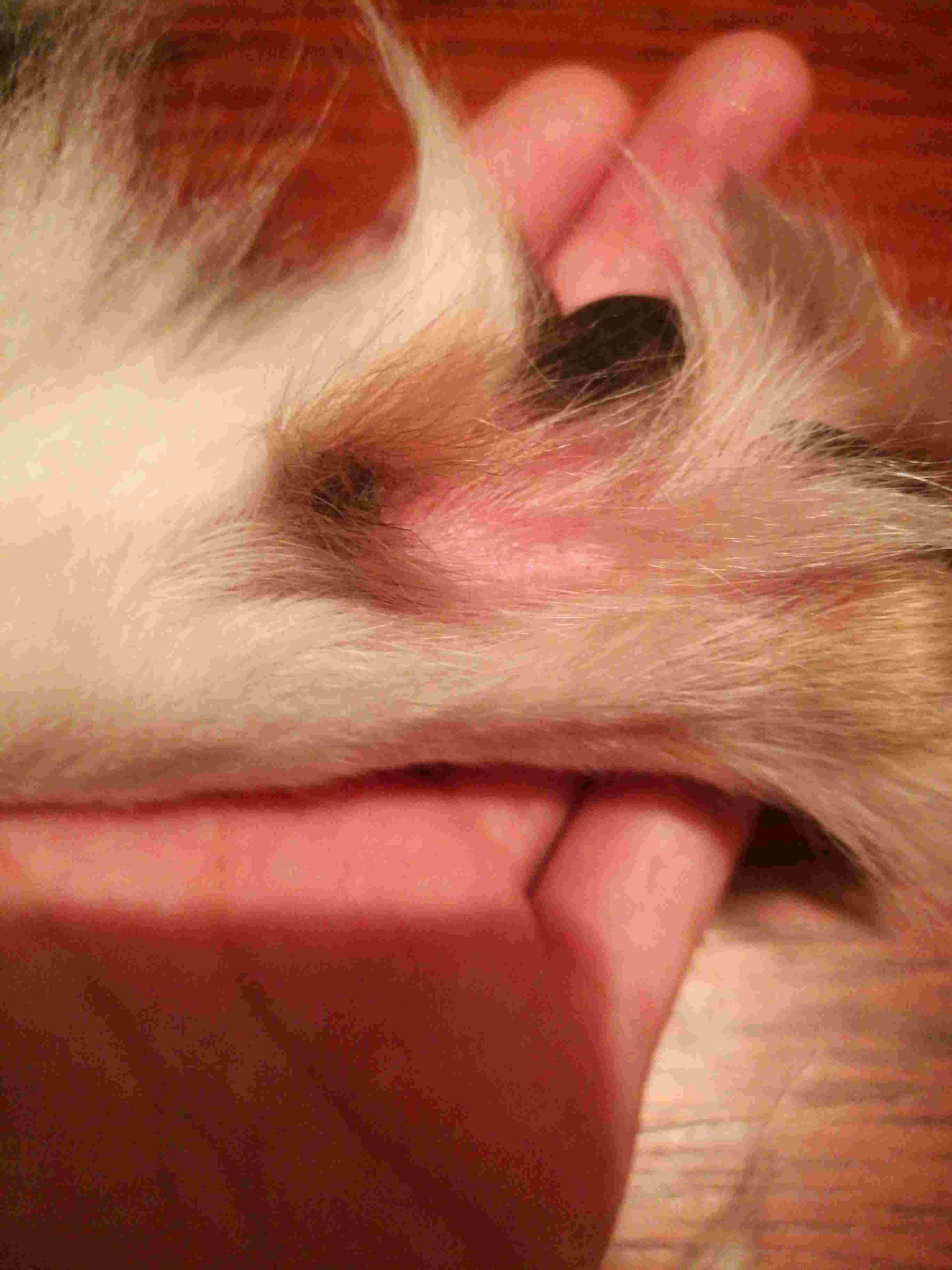 Question details sensitive content