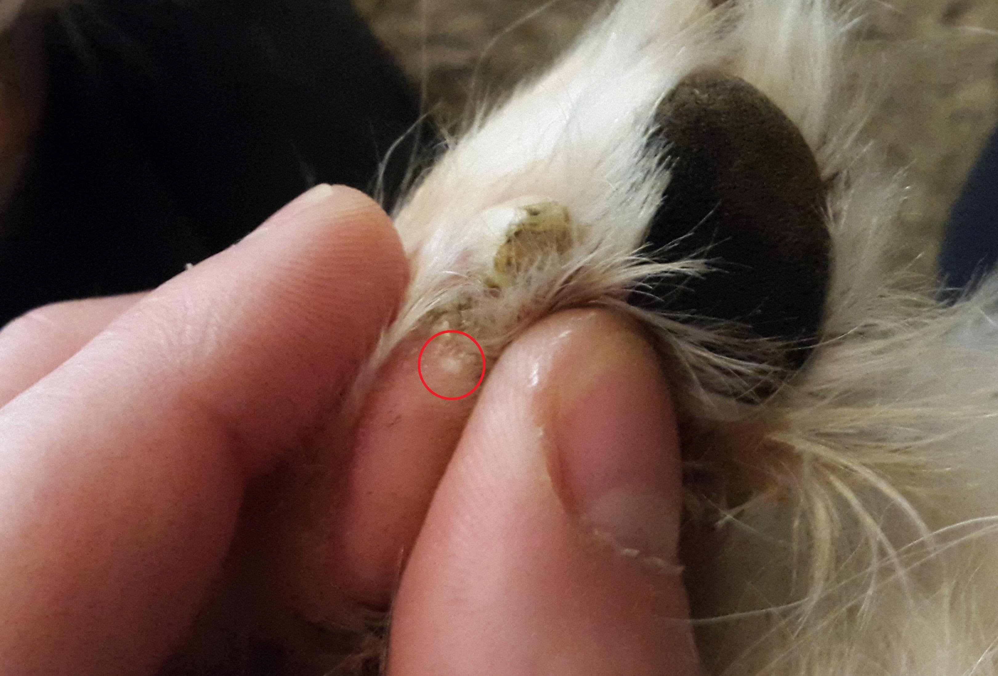 Question details sensitive content