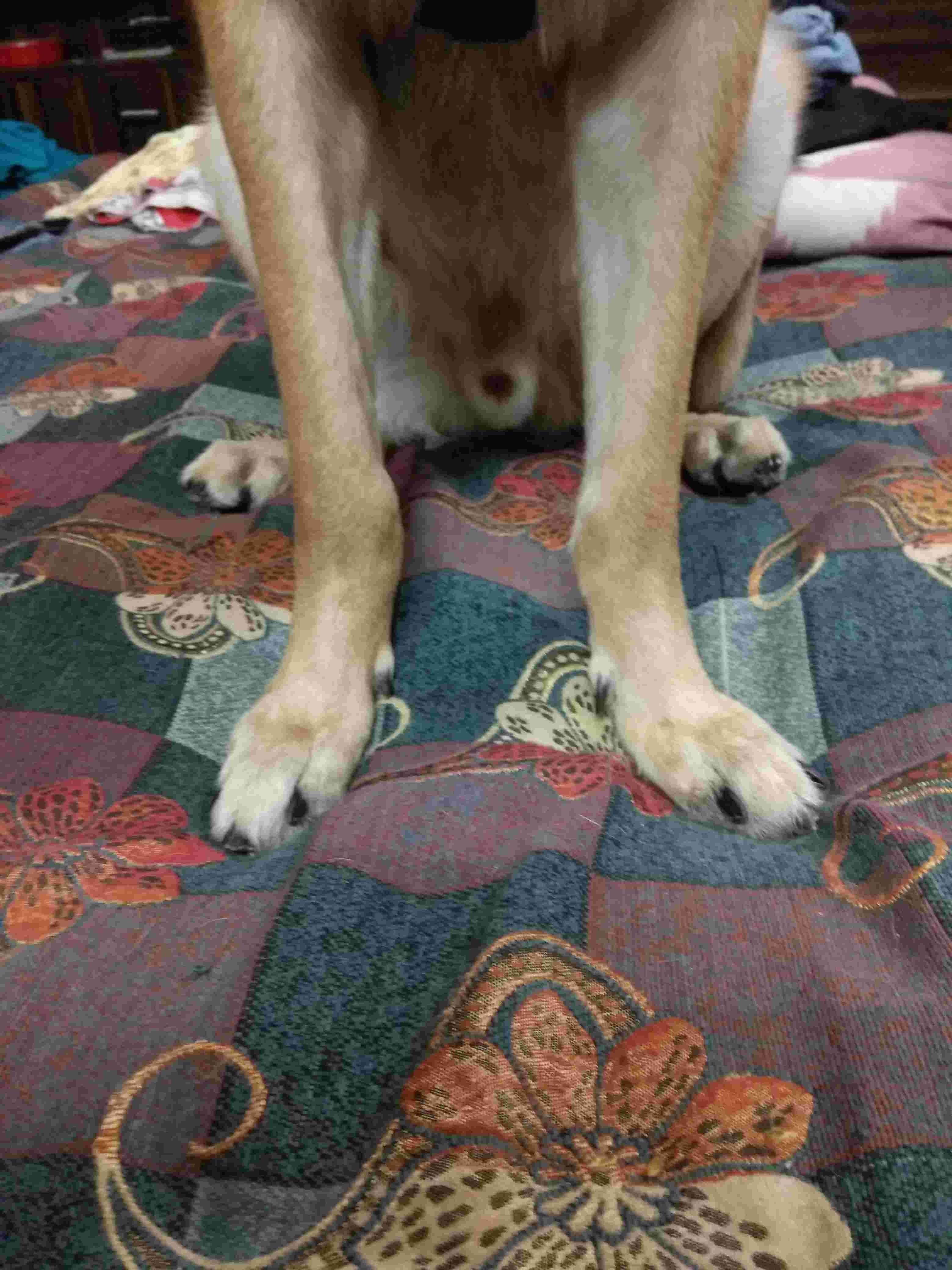 Question details sensitive content