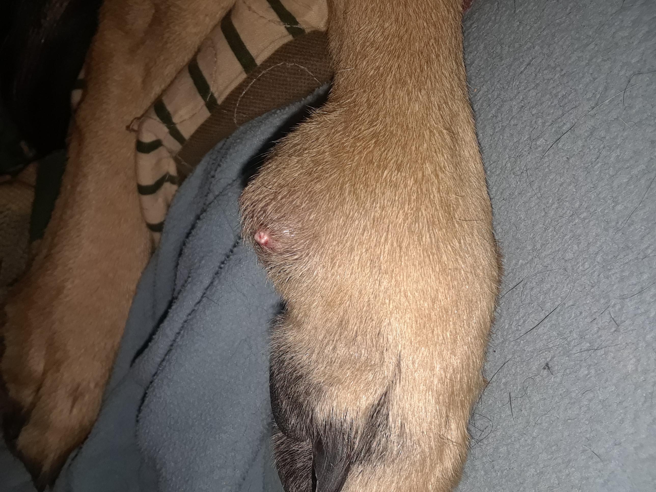 Question details sensitive content