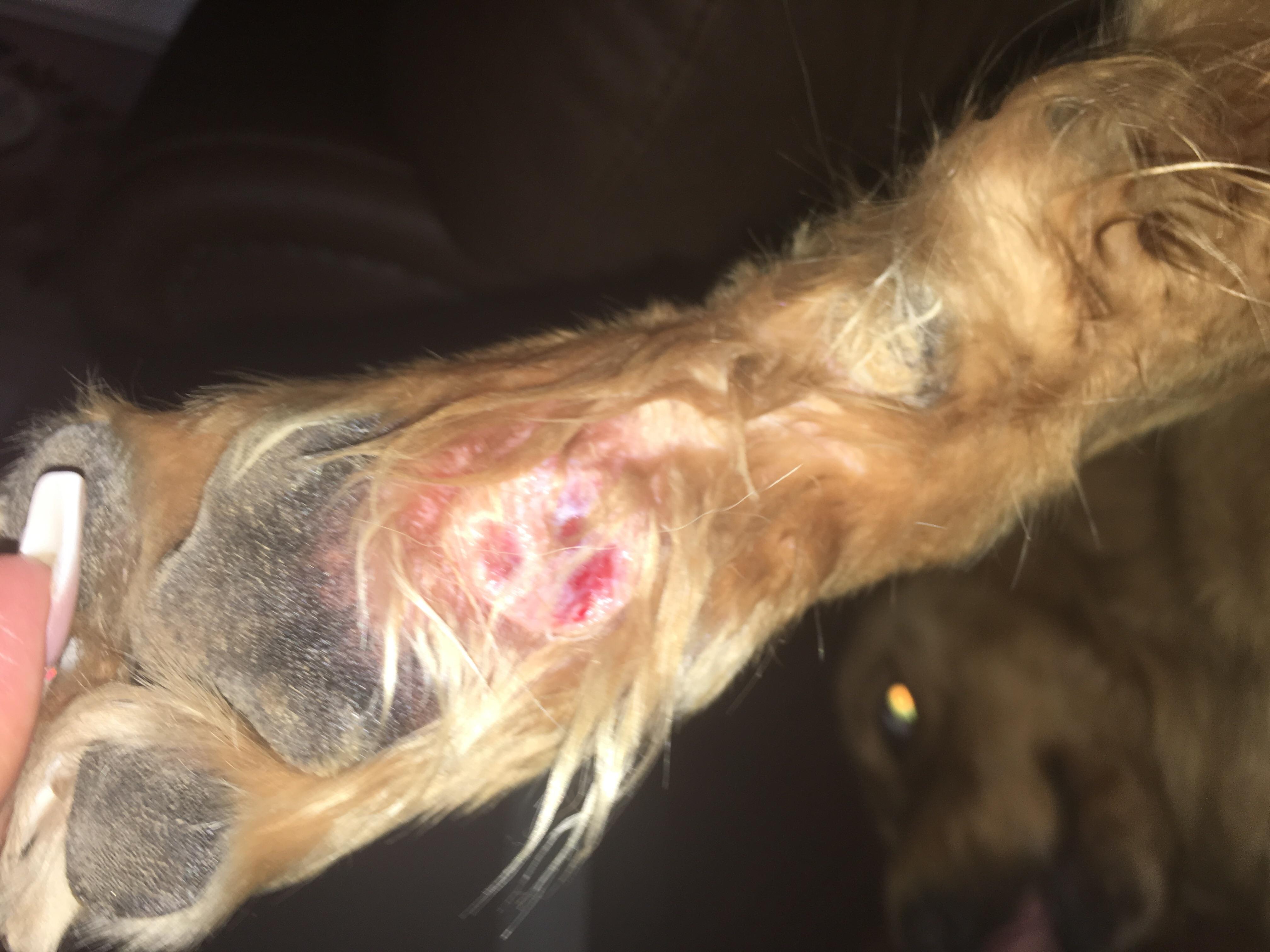 Question details sensitive content