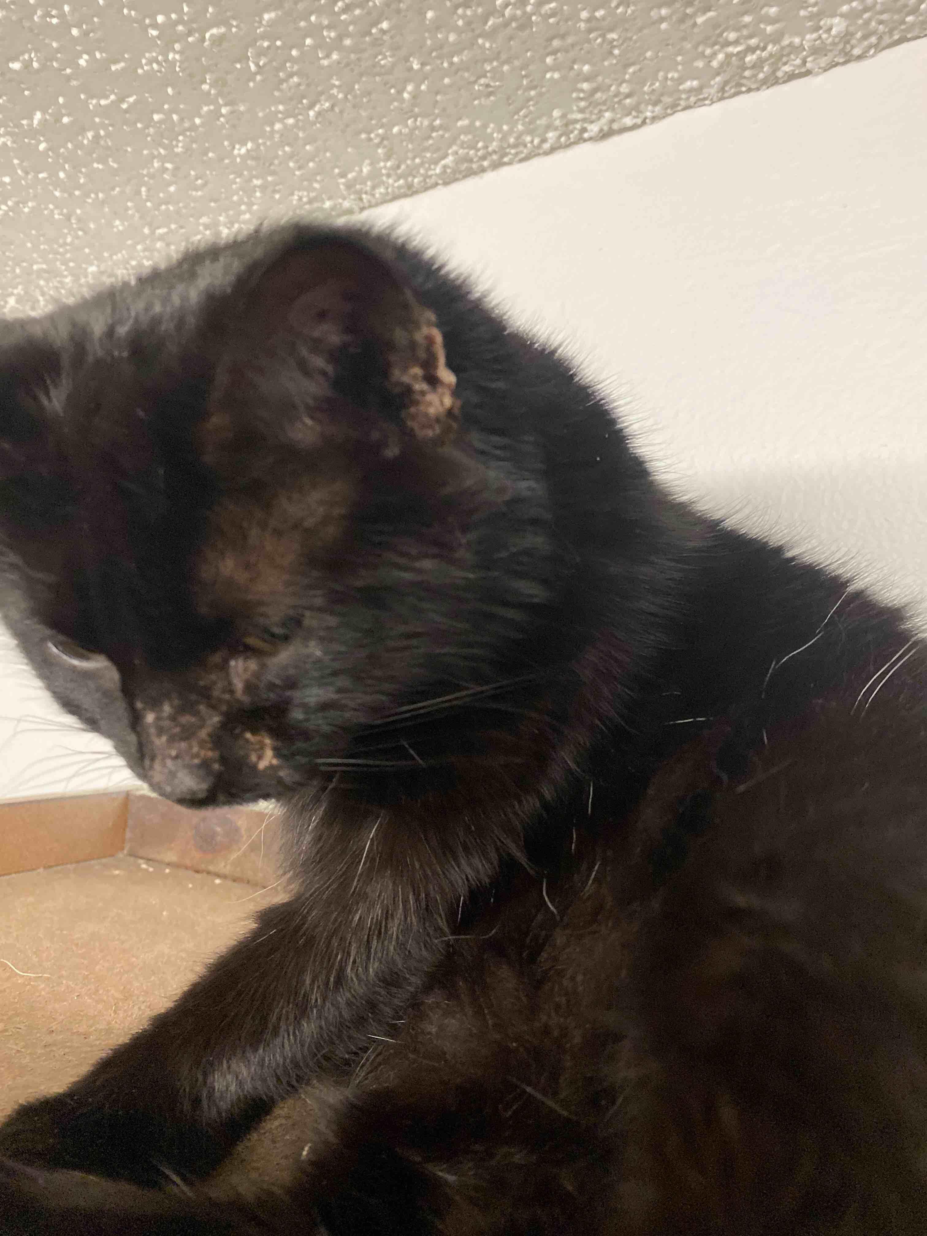 Question details sensitive content