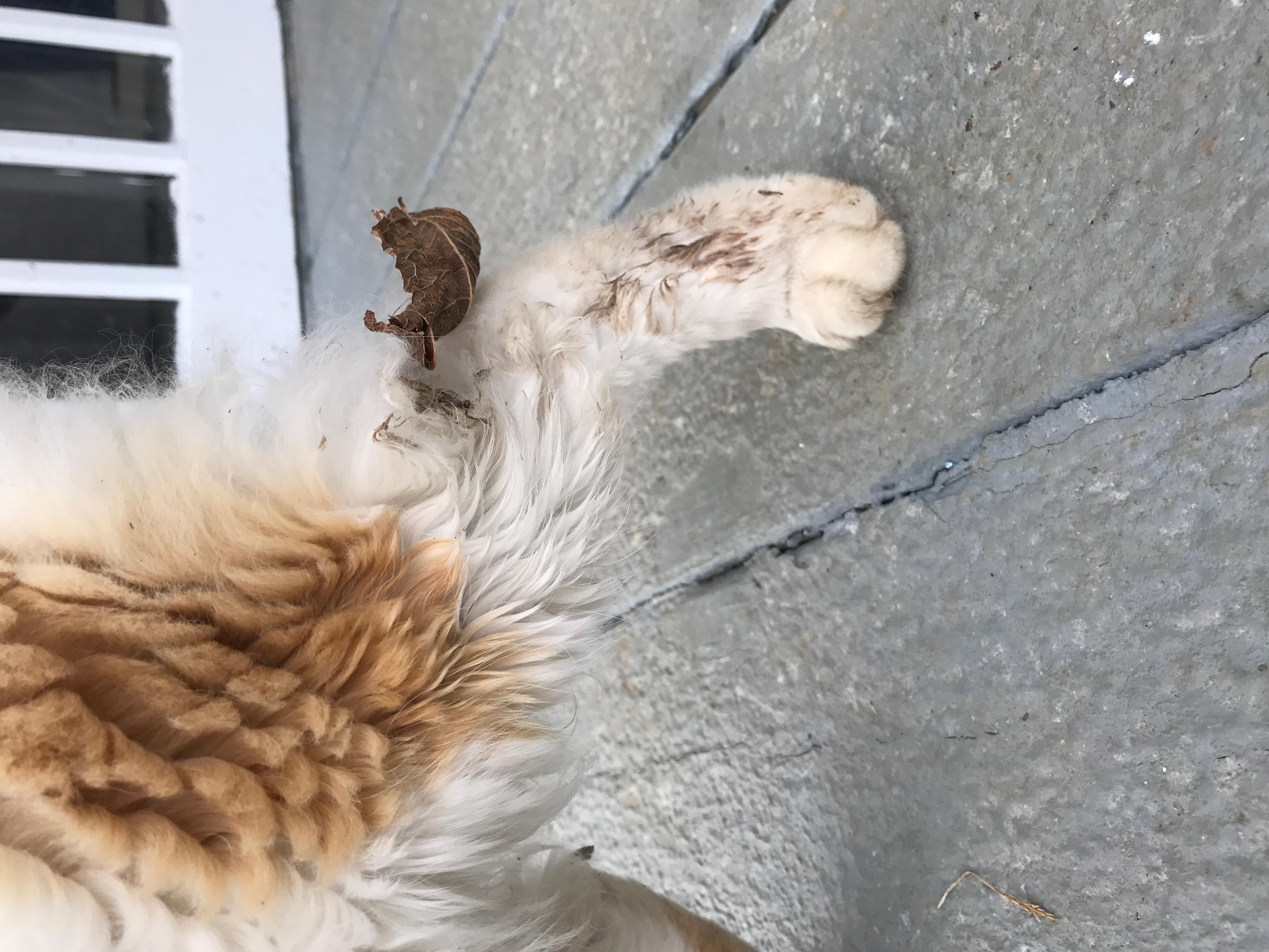 Question details sensitive content