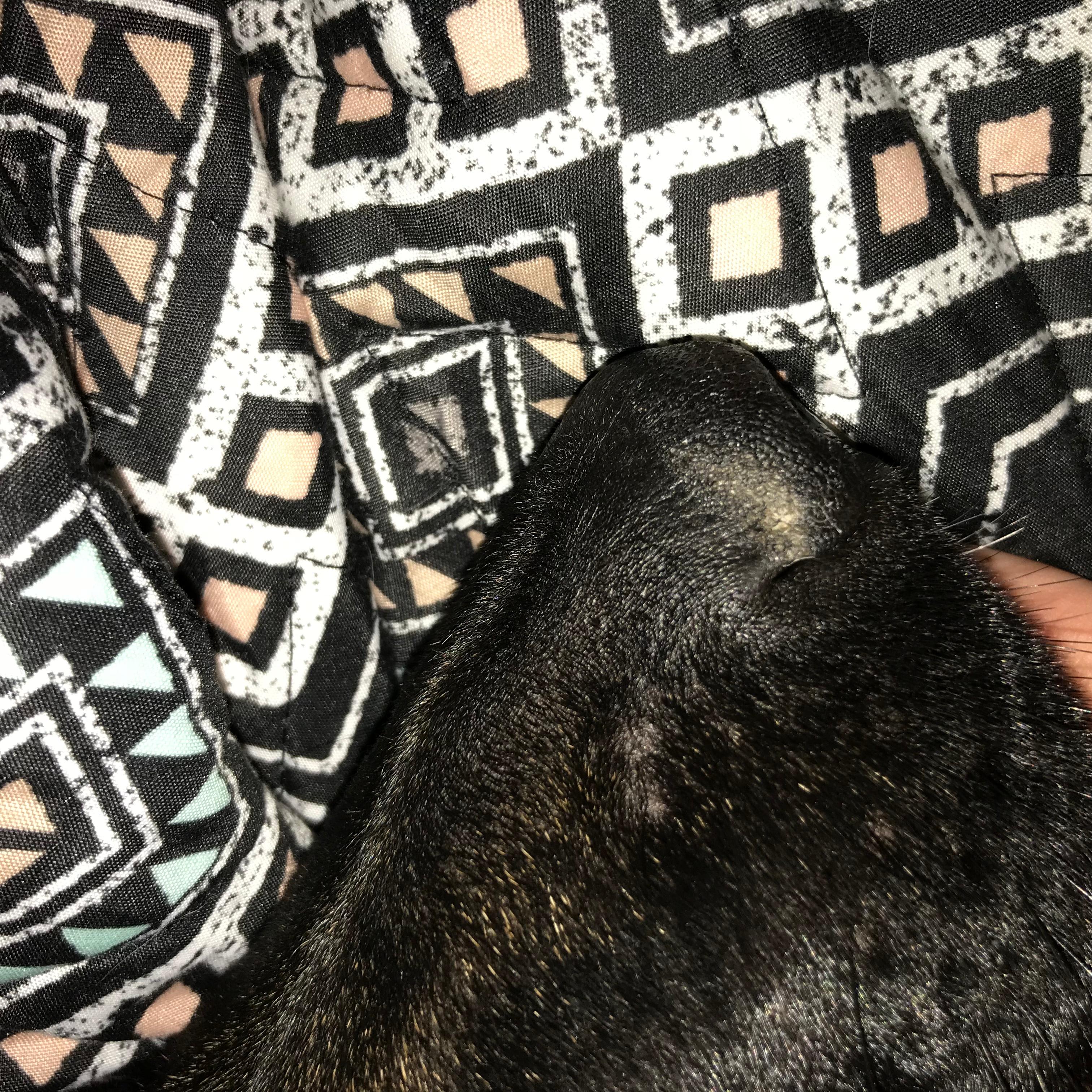 Question details sensitive content